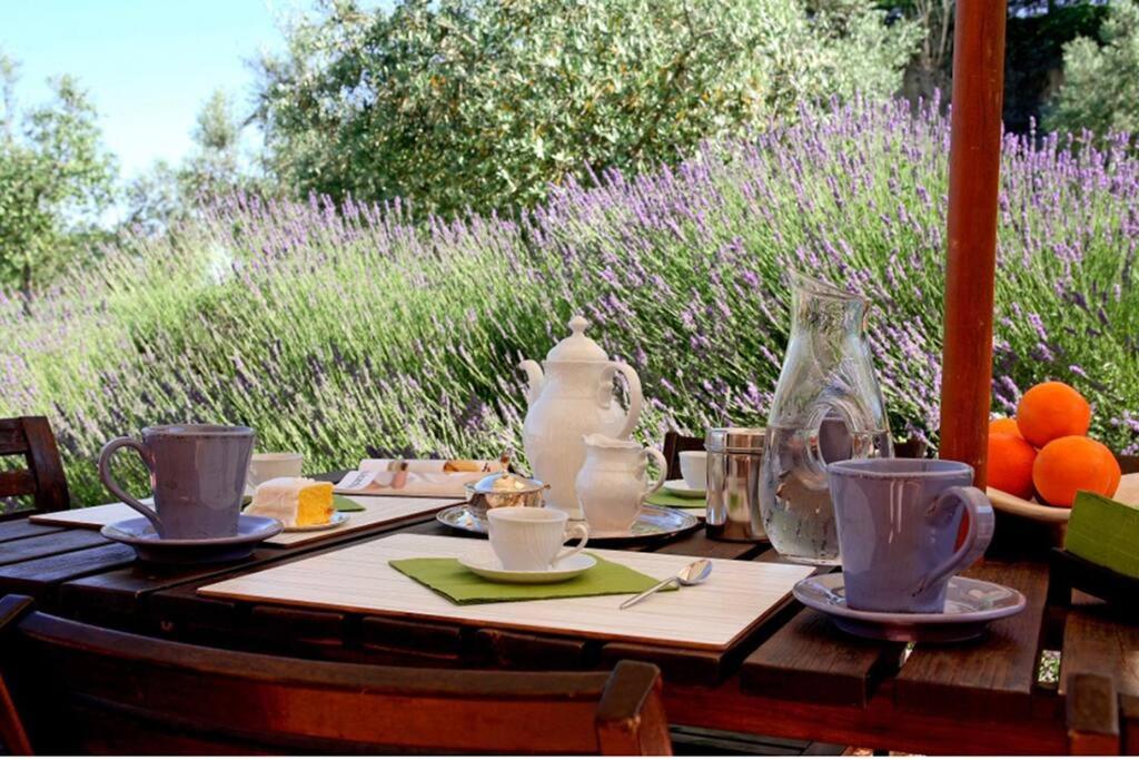 Breathtaking Villa w/Jacuzzi Tuscany Montepulciano