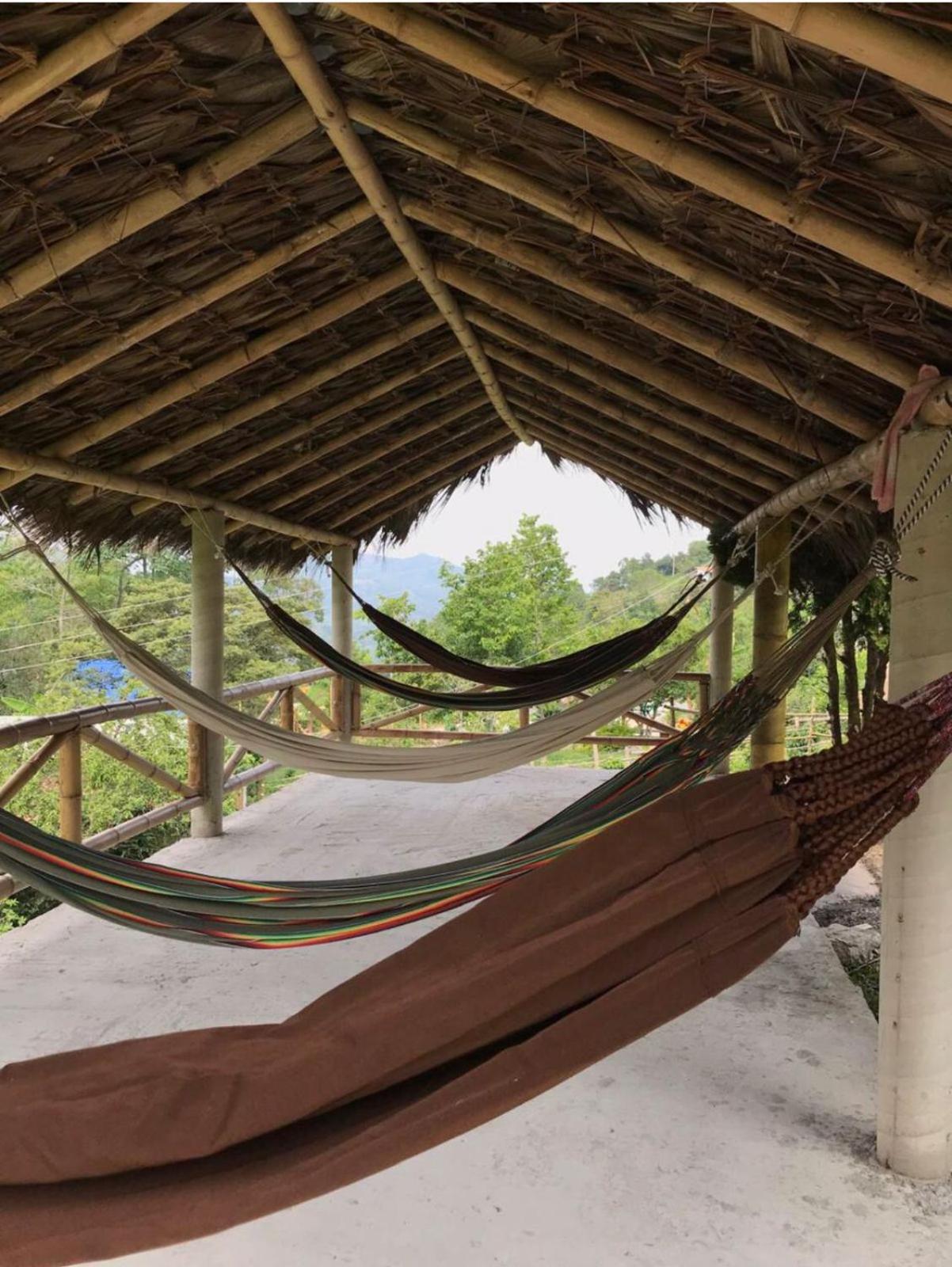 Solarte Hostel