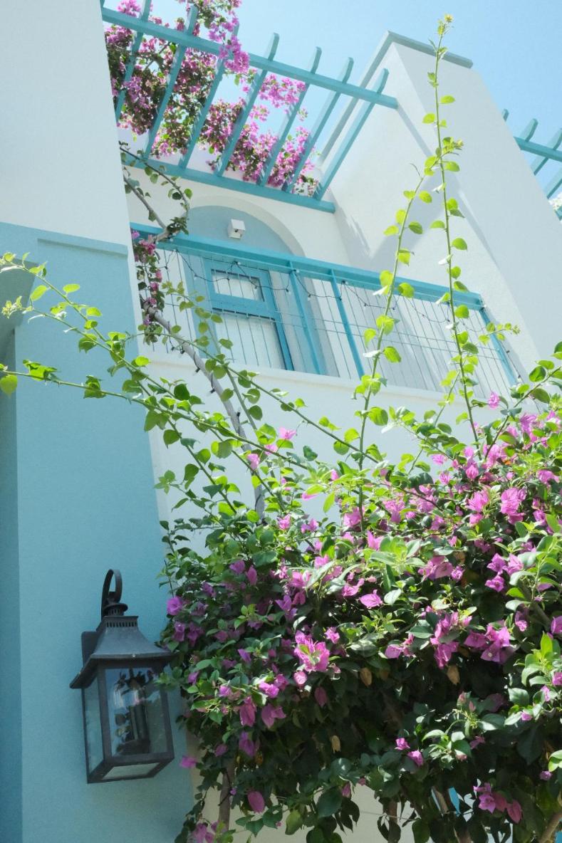 Laris Home - NovaWorld Phan Thiet
