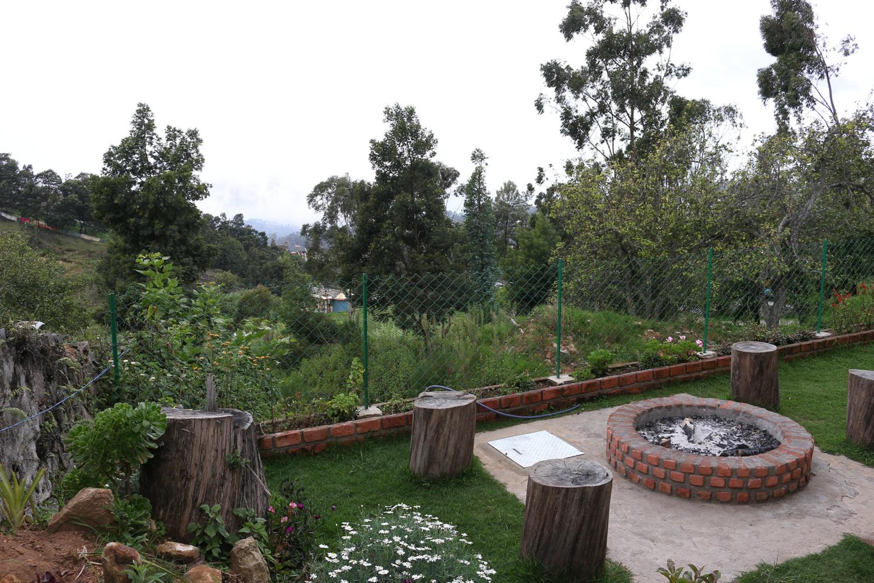 Photo 20