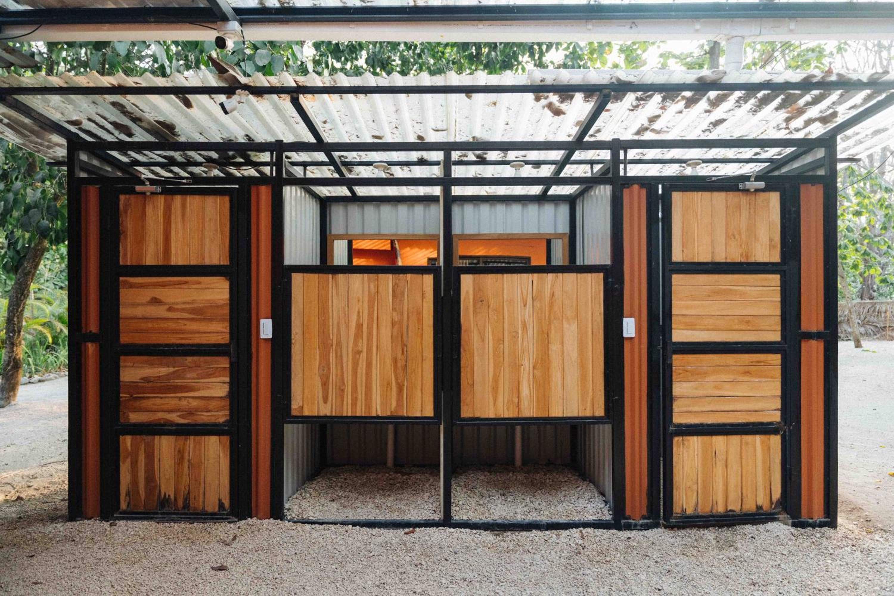 Photo 56