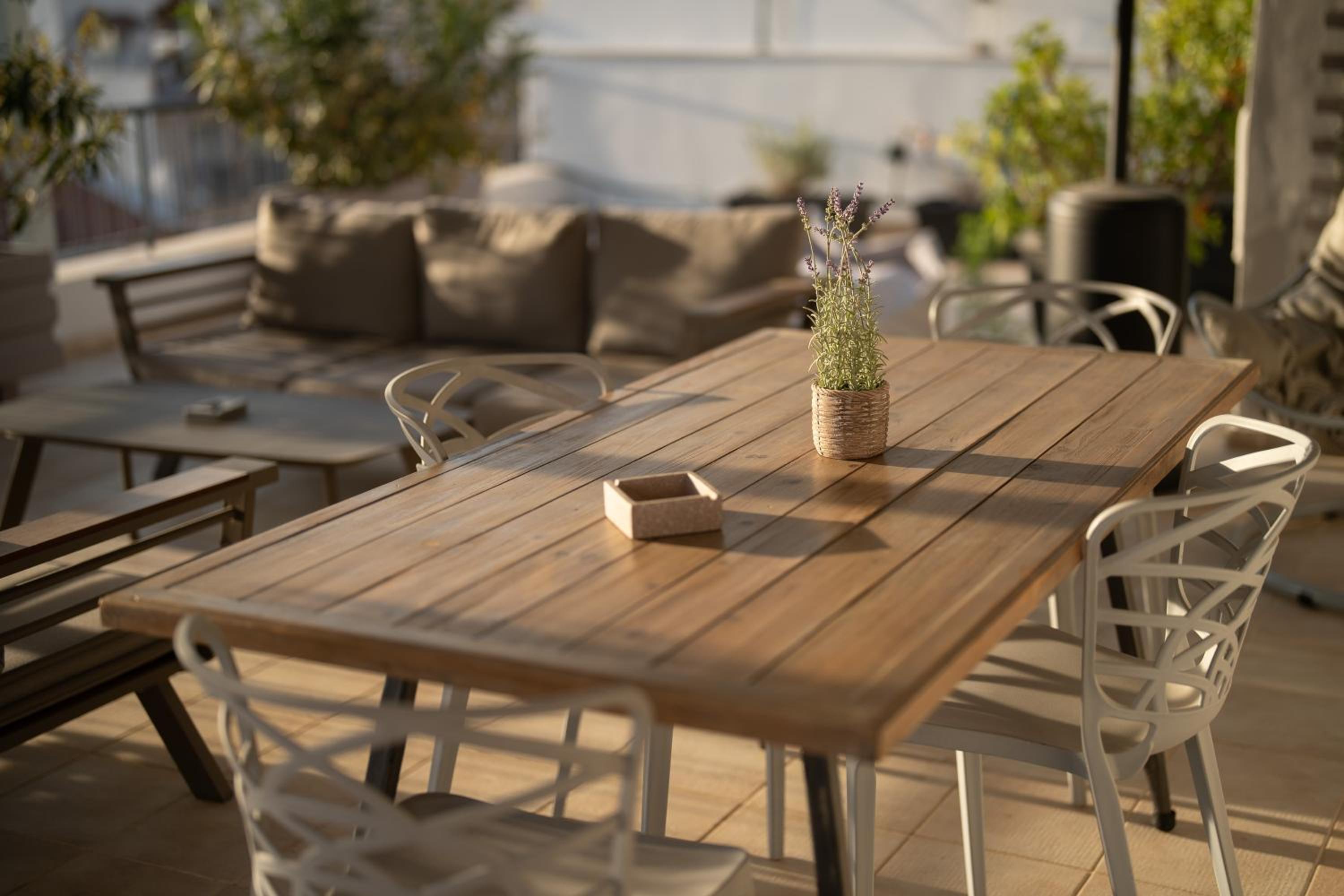 balance & terrace