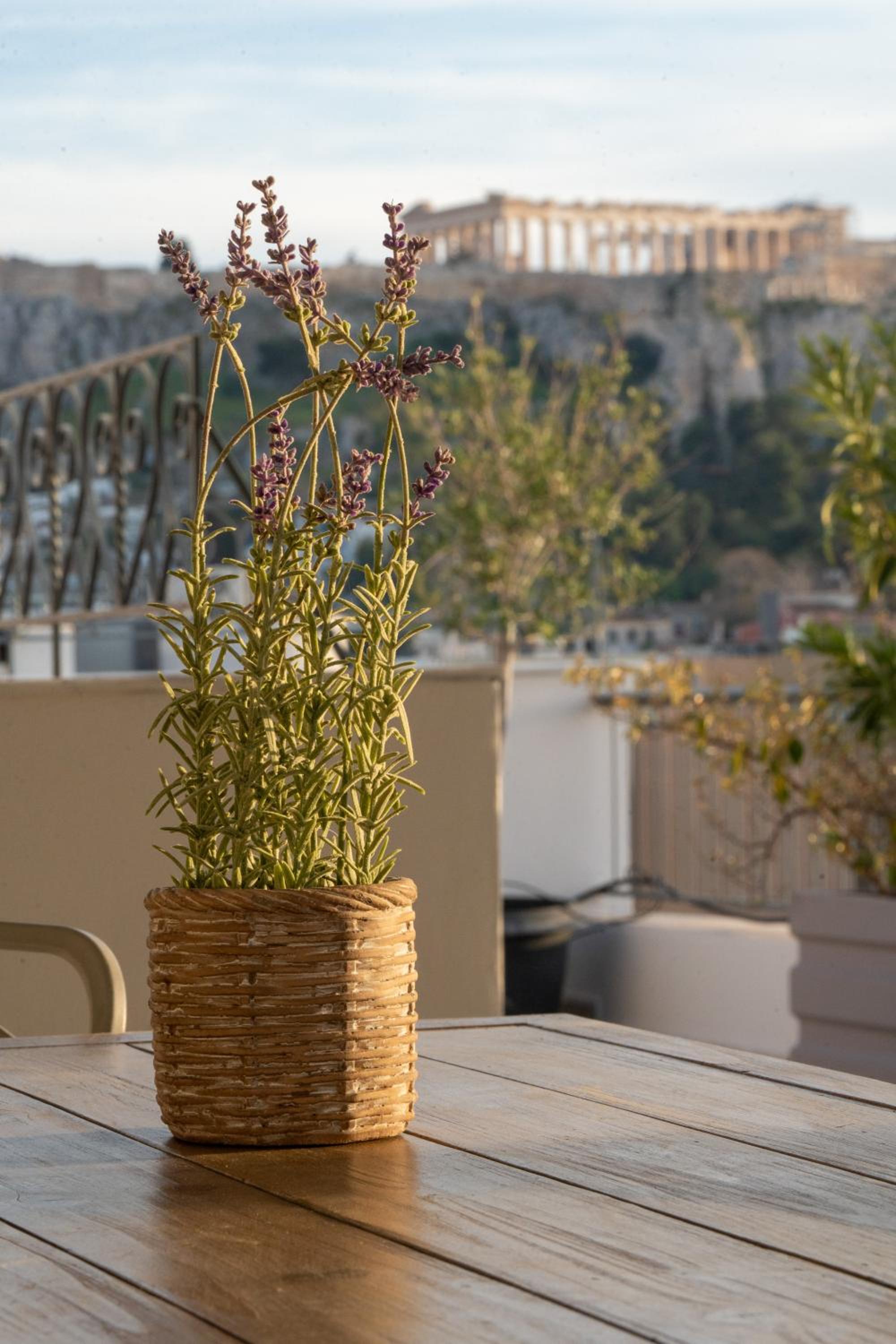balance & terrace