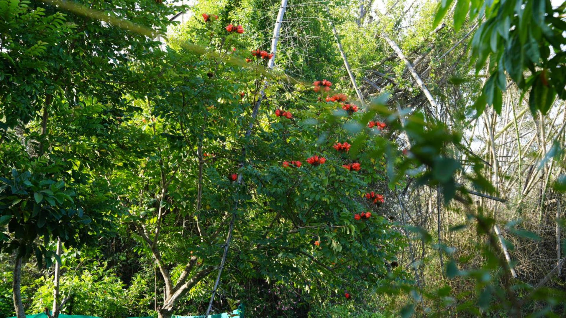 Photo 21