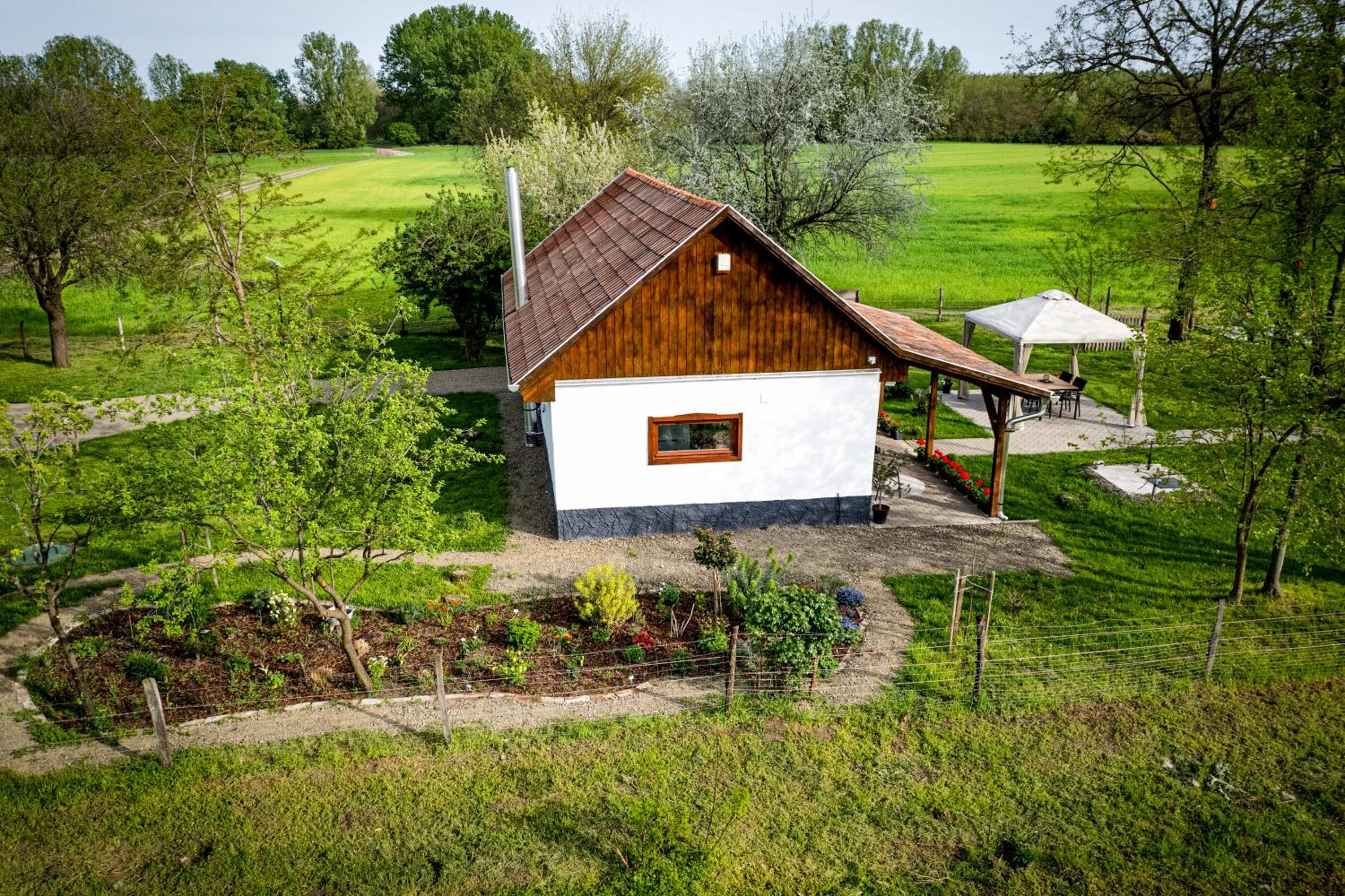 Photo 15