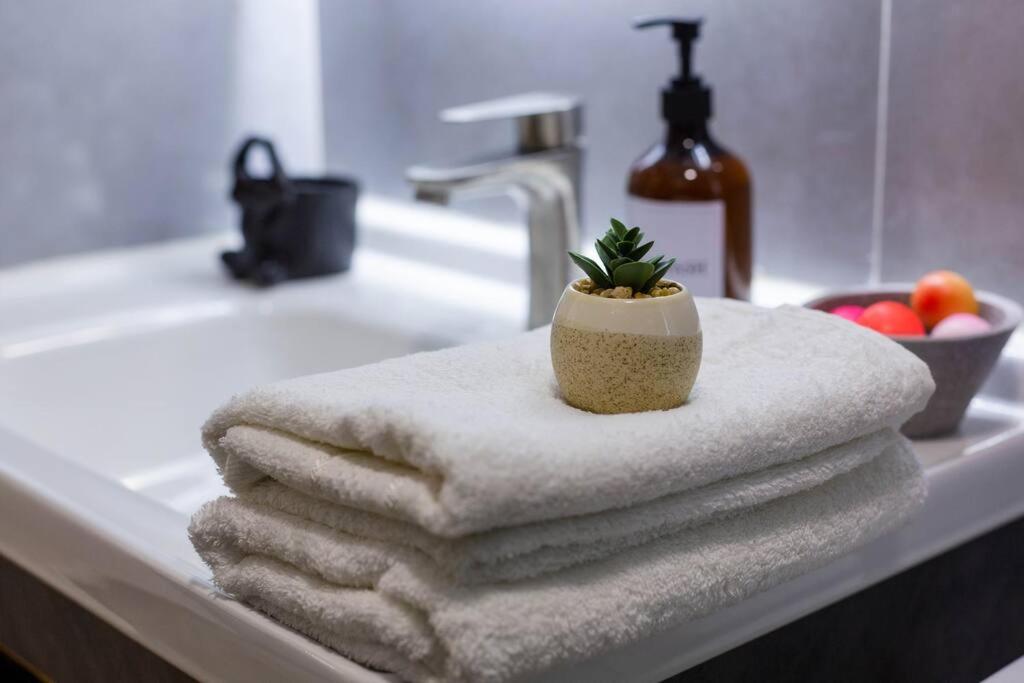 Cozy 1br. Condo With Great Ambiance - ImaniStays view 2