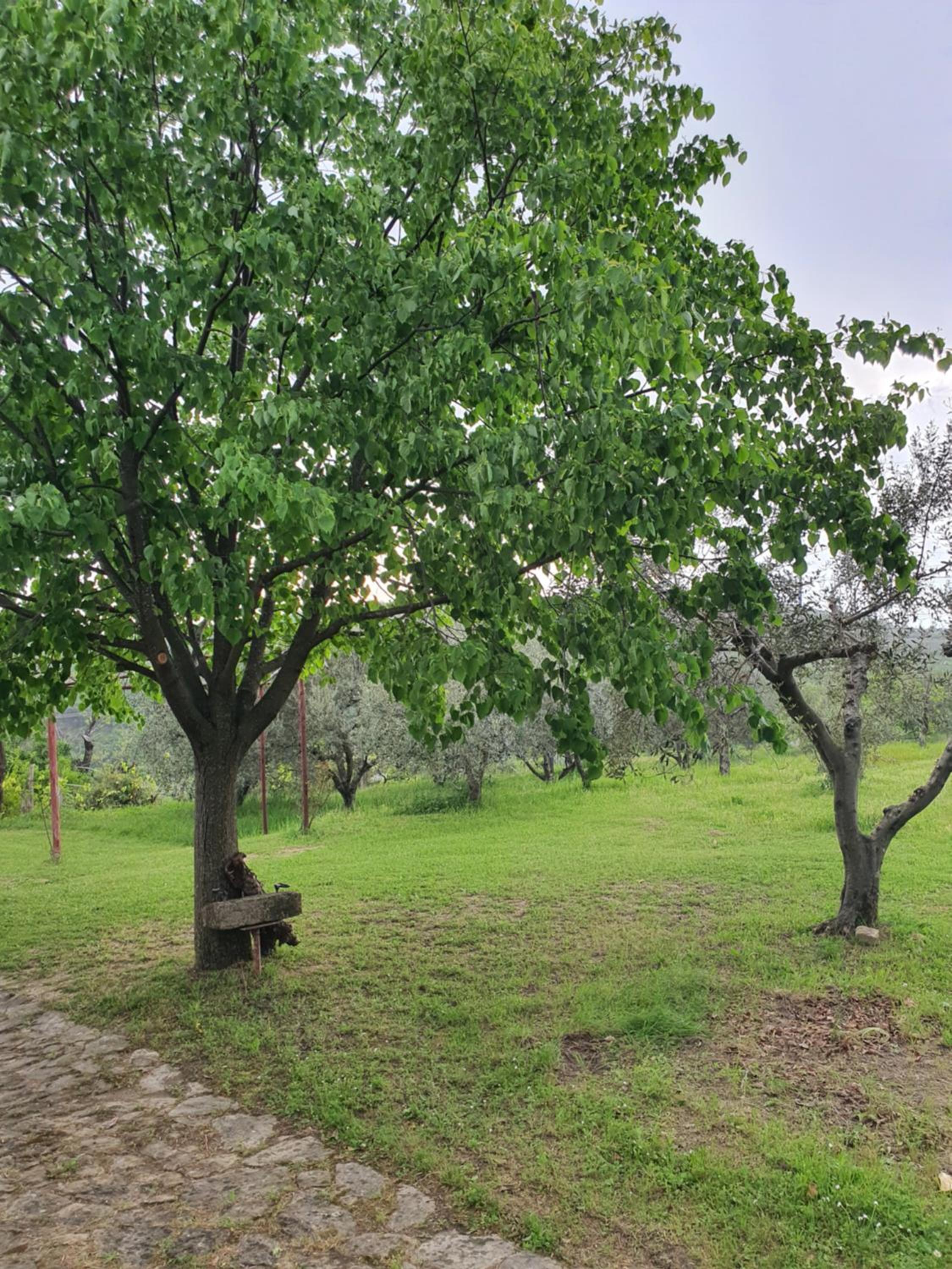 Apartma Vista Baredi