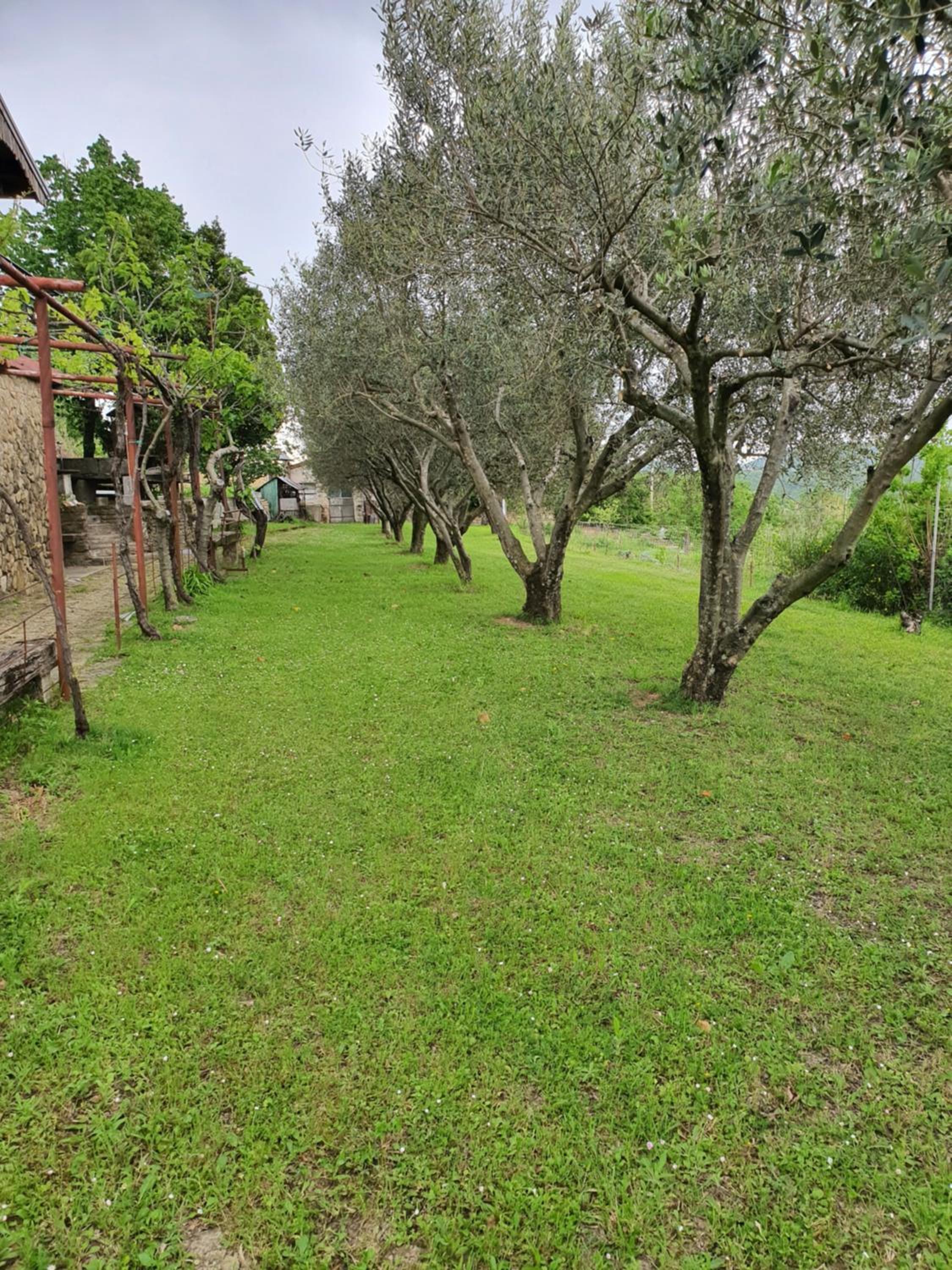 Apartma Vista Baredi