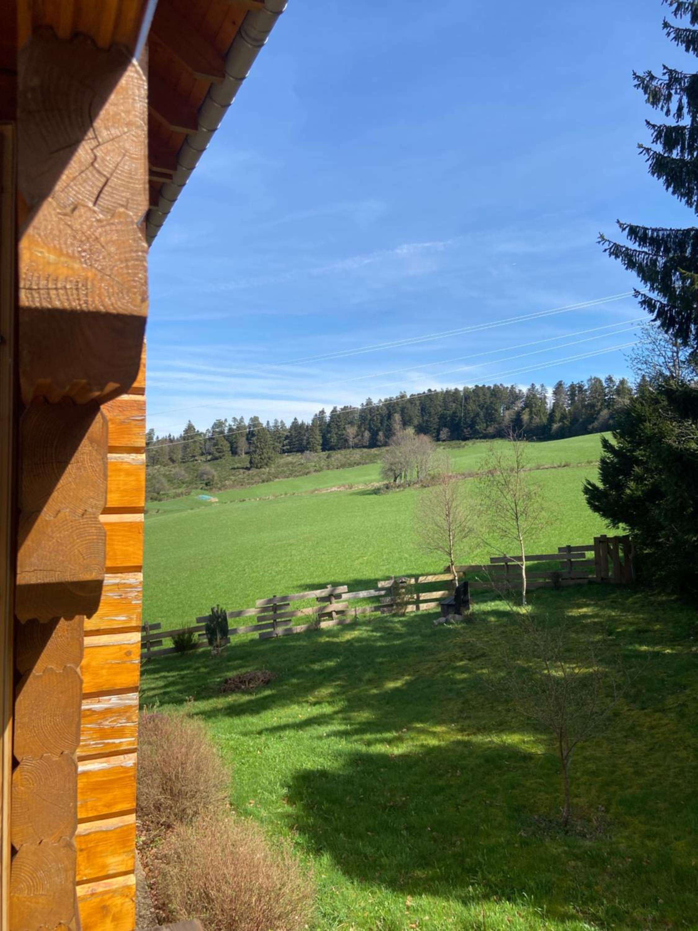 Chalet bois au calme, en lisière de forêt, balcons, sentiers balades Gérardmer & Alsace 