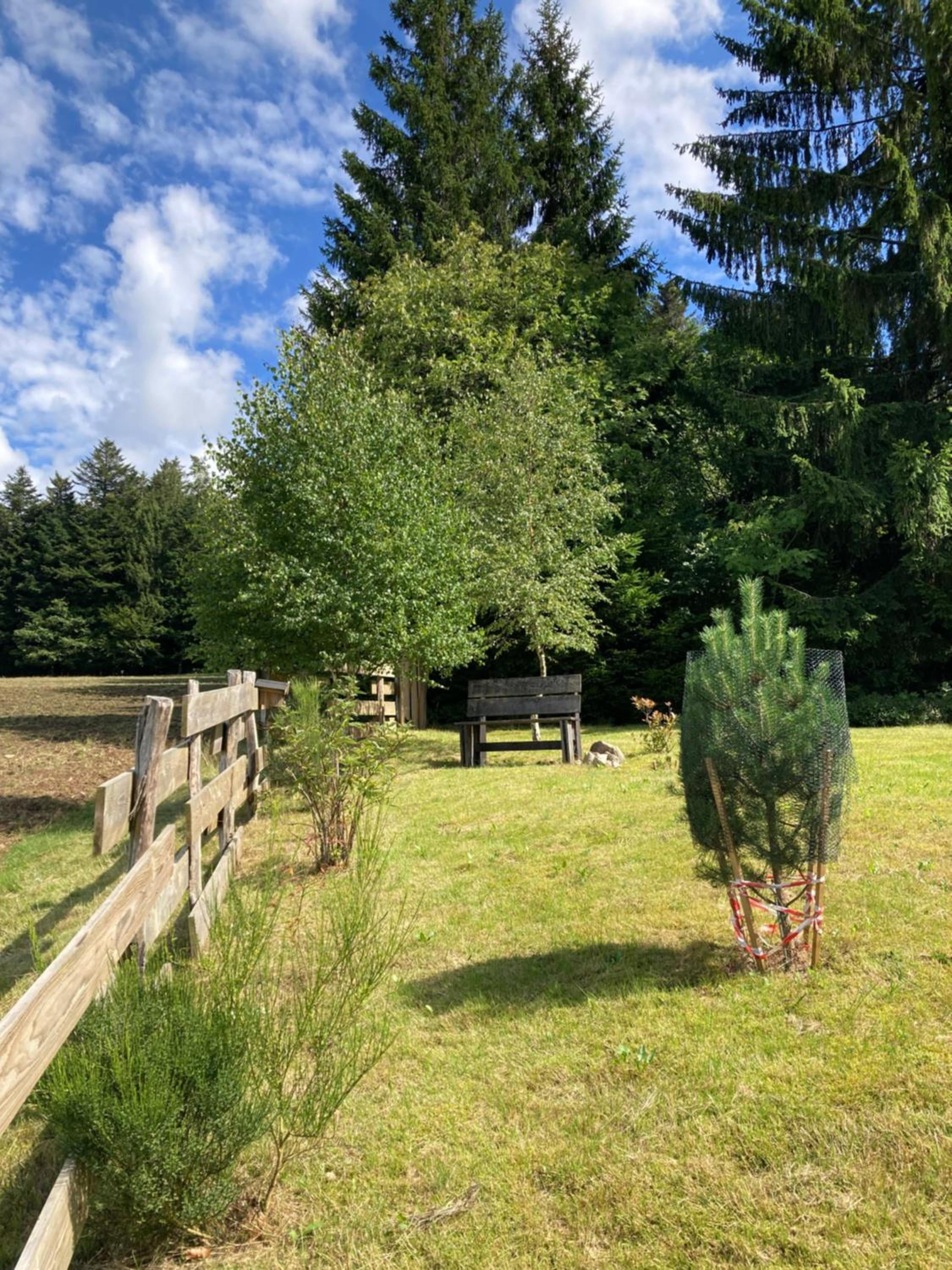 Chalet bois au calme, en lisière de forêt, balcons, sentiers balades Gérardmer & Alsace 