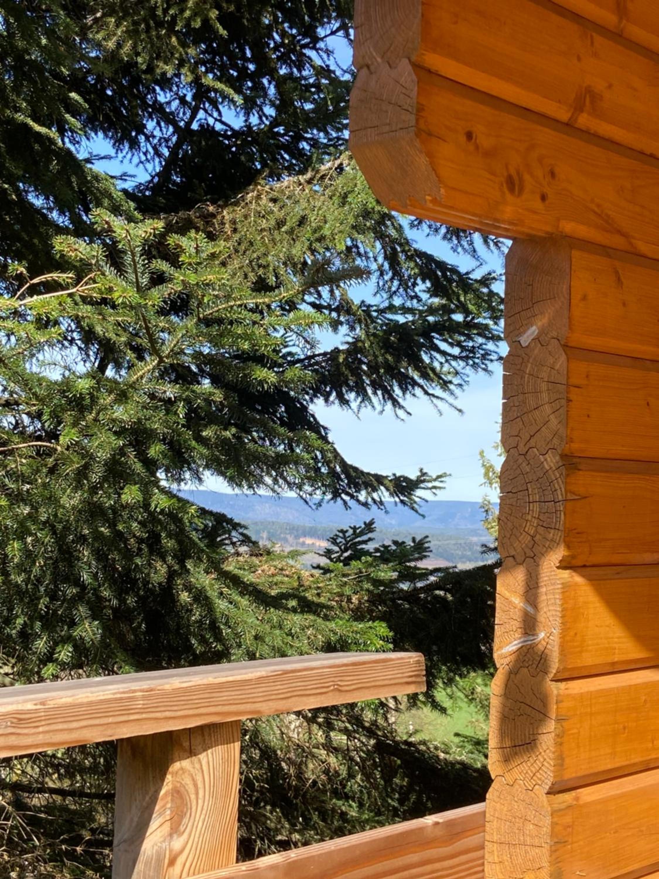 Chalet bois au calme, en lisière de forêt, balcons, sentiers balades Gérardmer & Alsace 