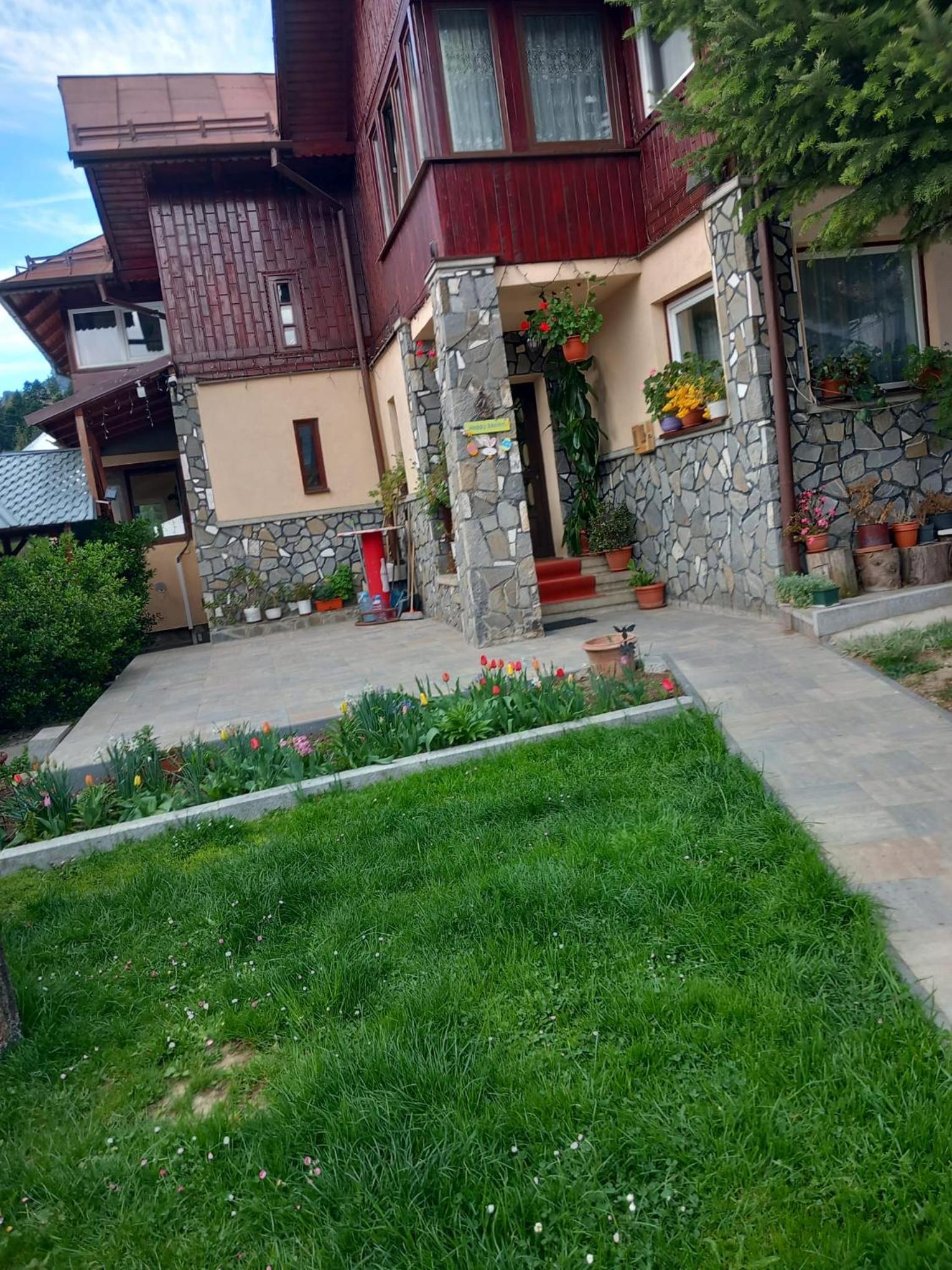 Photo 42