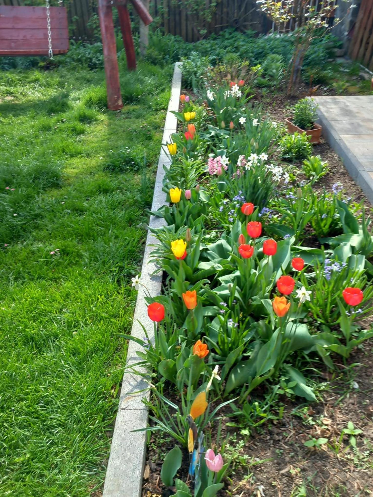 Photo 41