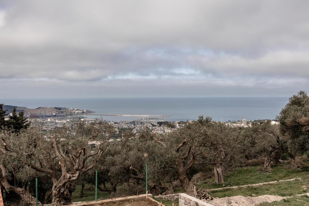 Olive Grove Luxury with private POOL view 2