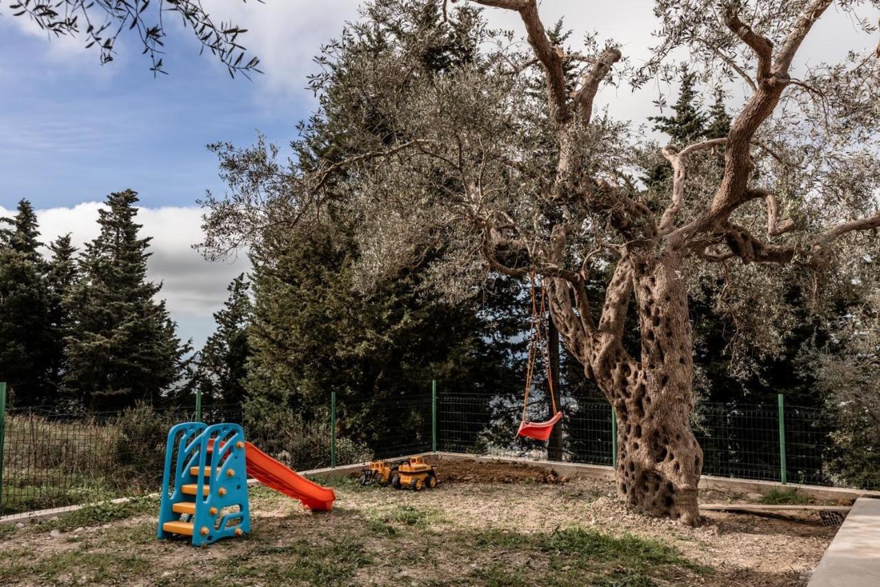 Olive Grove Luxury with private POOL view 3
