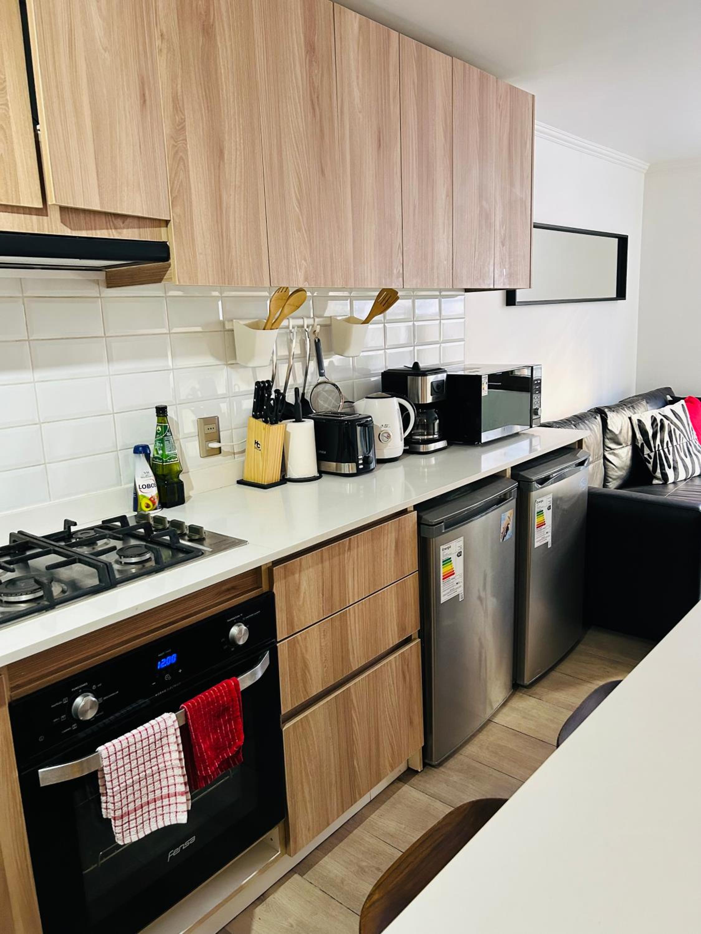 Lastarria Apartment in Santiago Chile with Air Conditioning