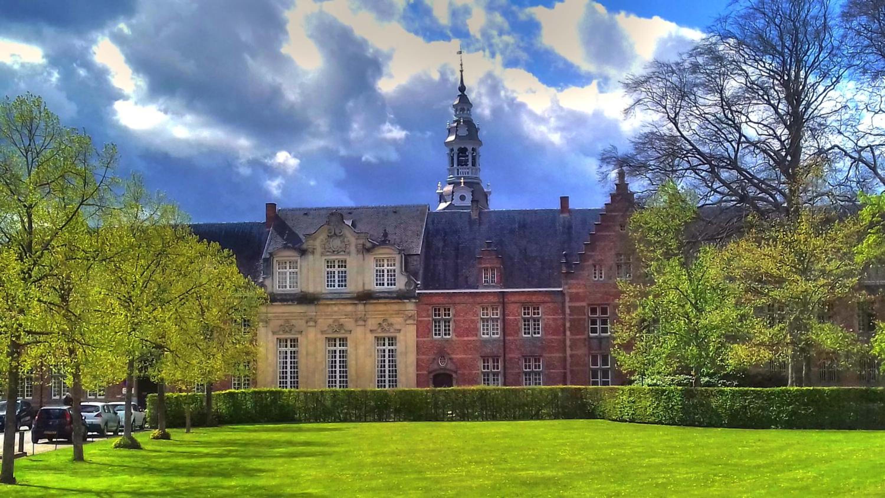 De Wilden Ezel