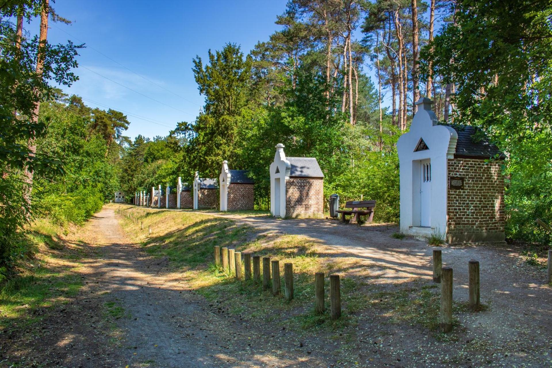 De Wilden Ezel