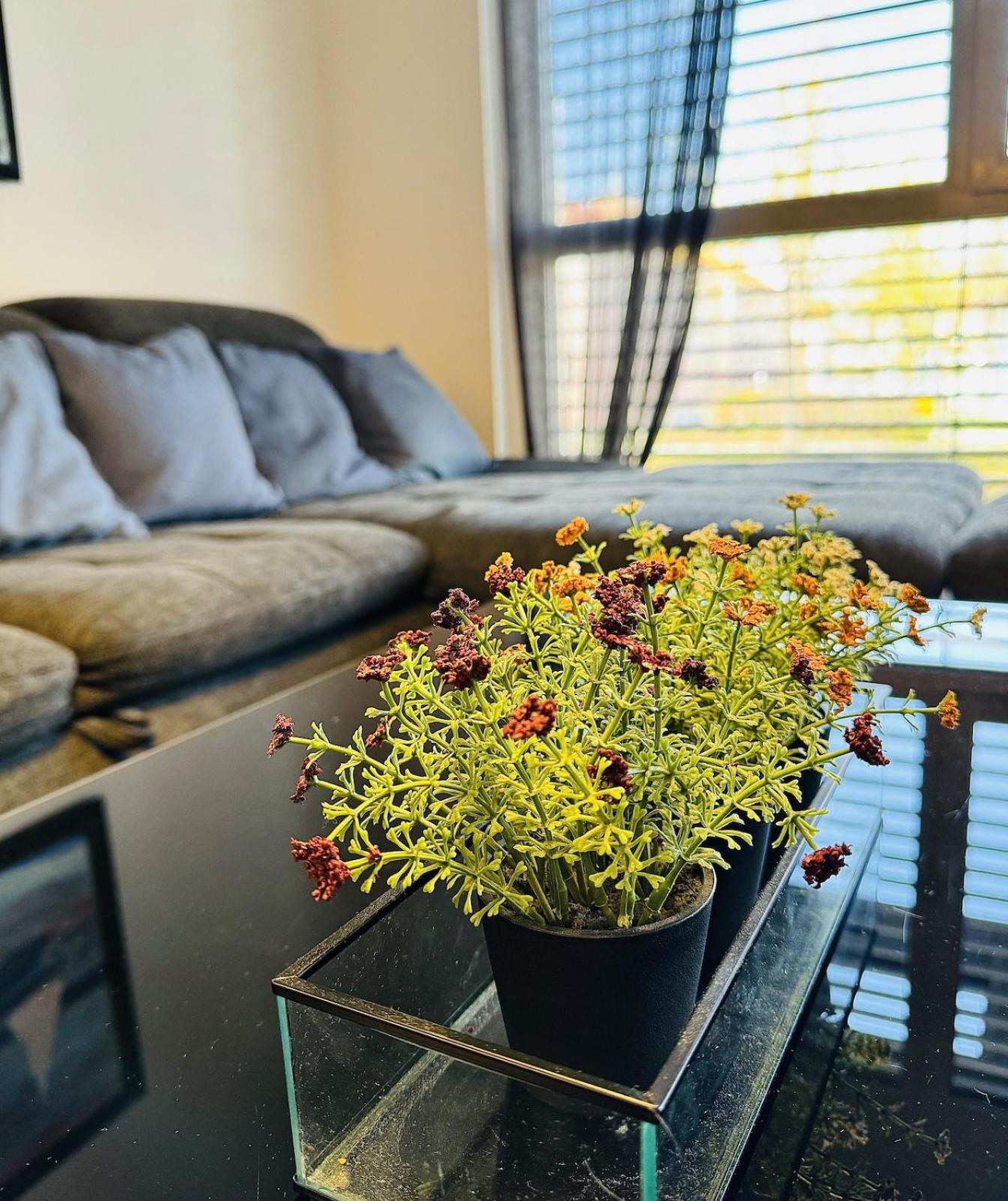 Brand New Apartment, Top Location-Near VIC/Danube