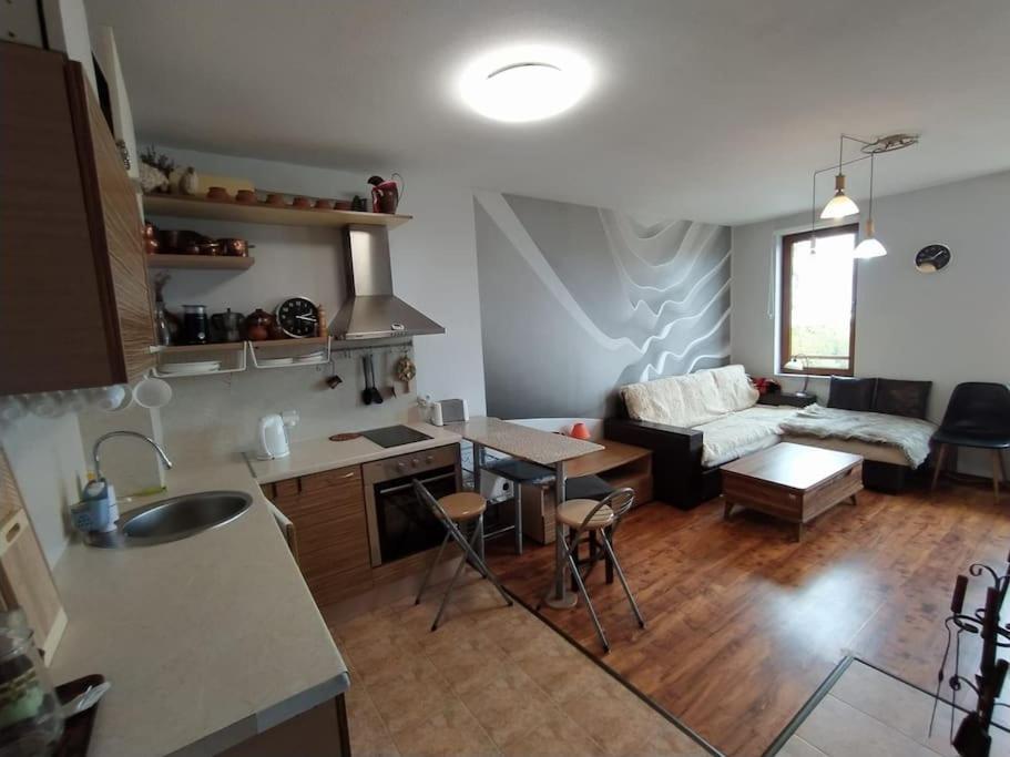 2BR mountain view, SPA, parking, ski piste