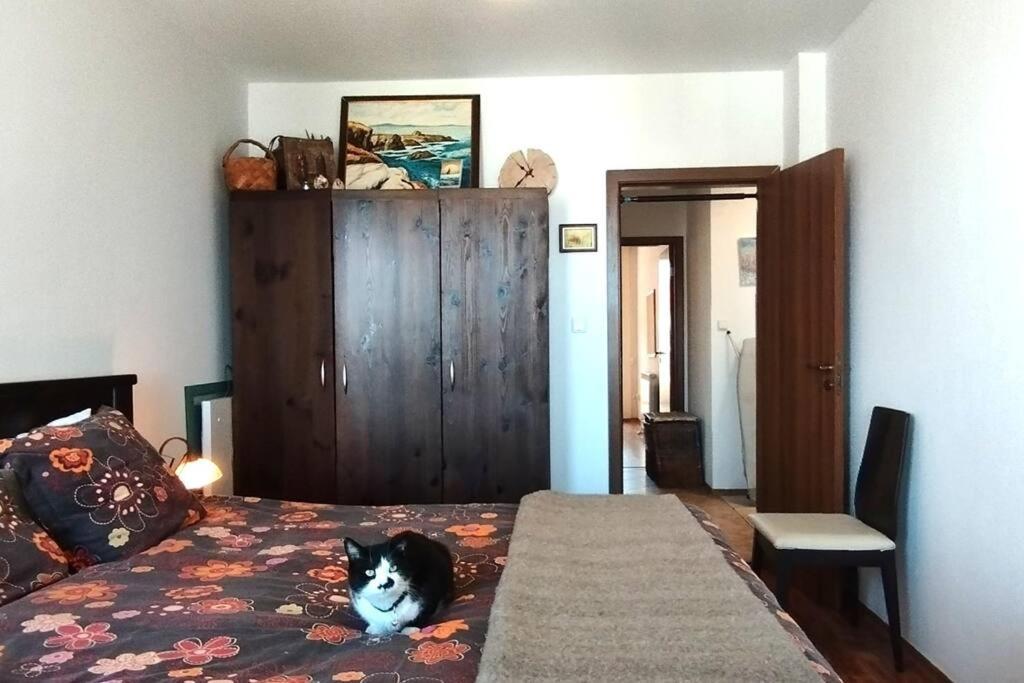 2BR mountain view, SPA, parking, ski piste