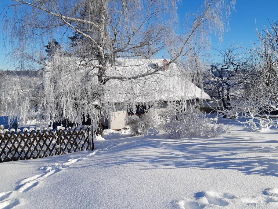 Ferienhaus Harz