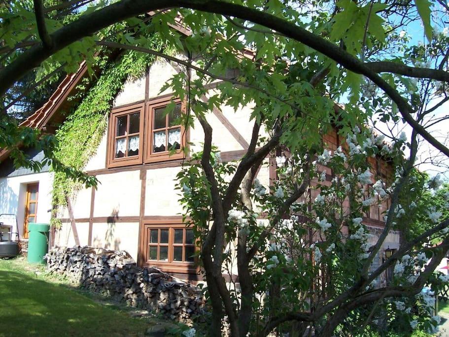 Ferienhaus Harz