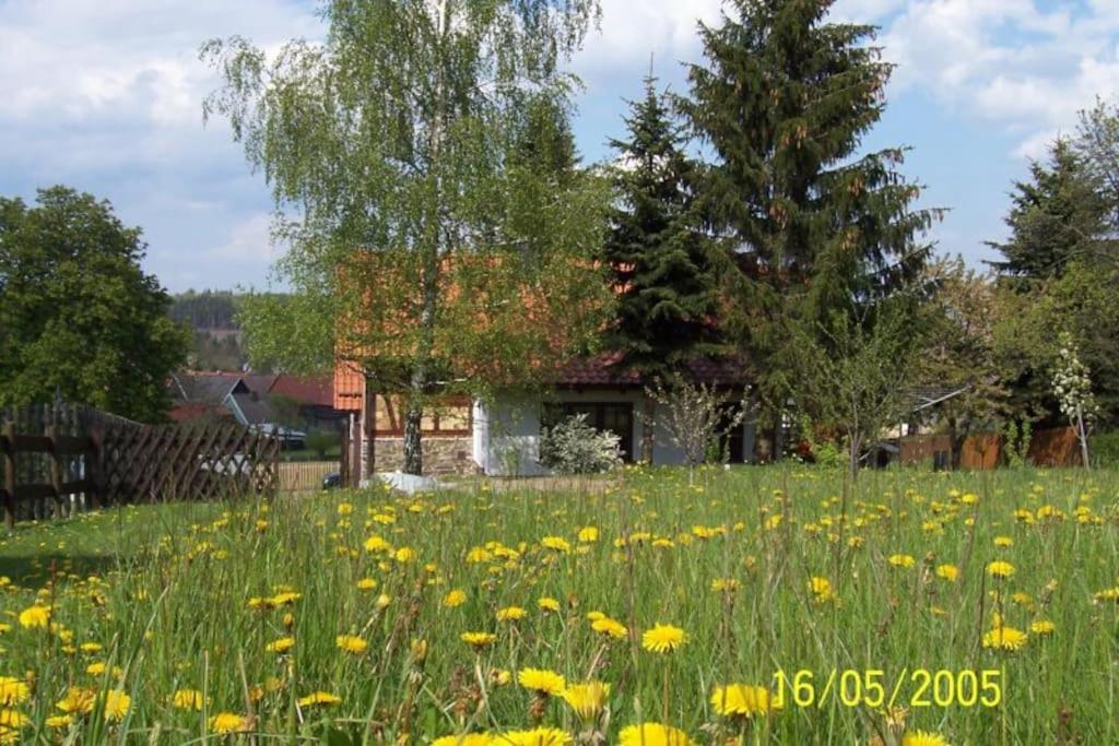 Ferienhaus Harz