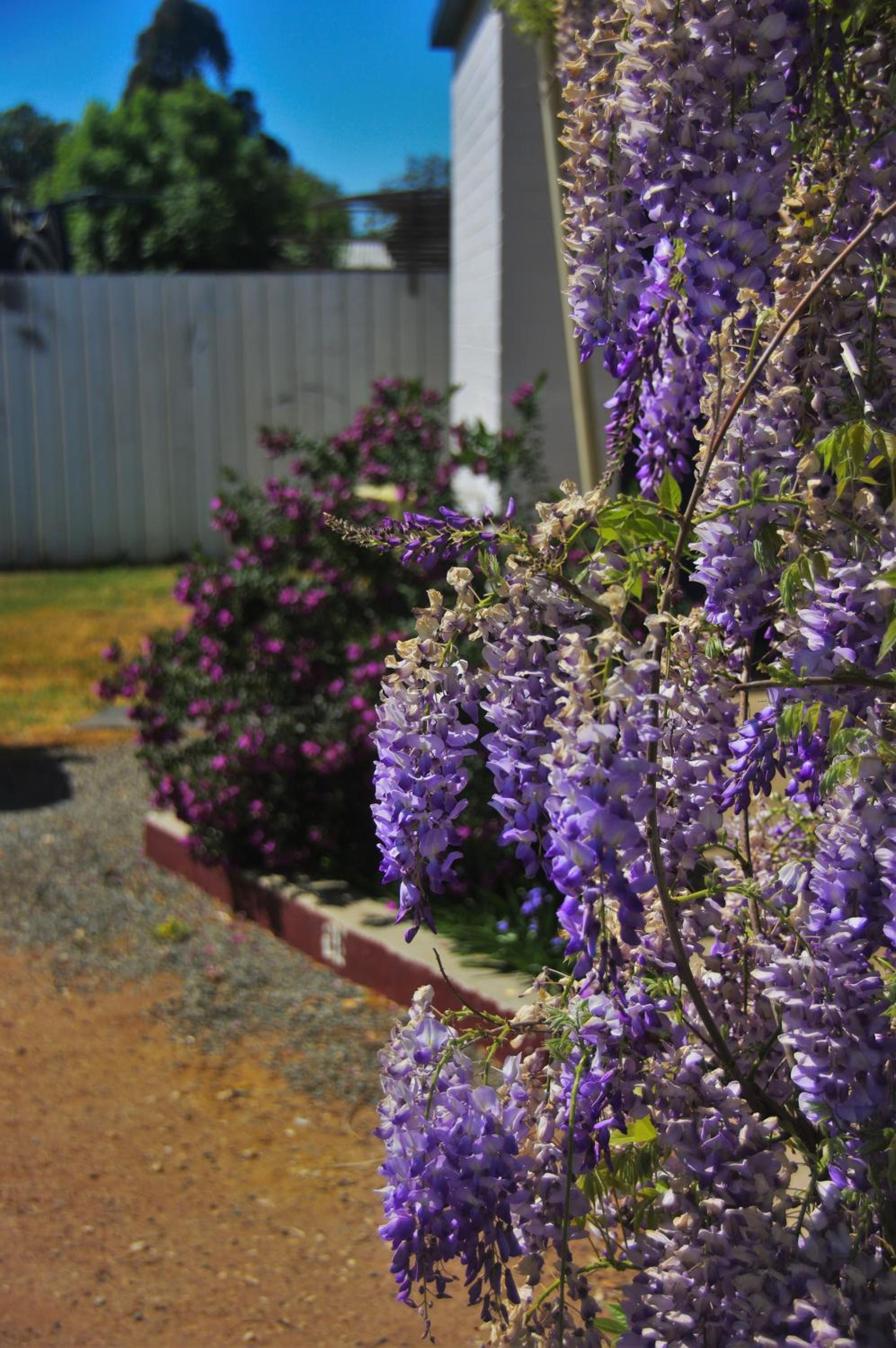 Gazebo Motor Inn - Strathmerton