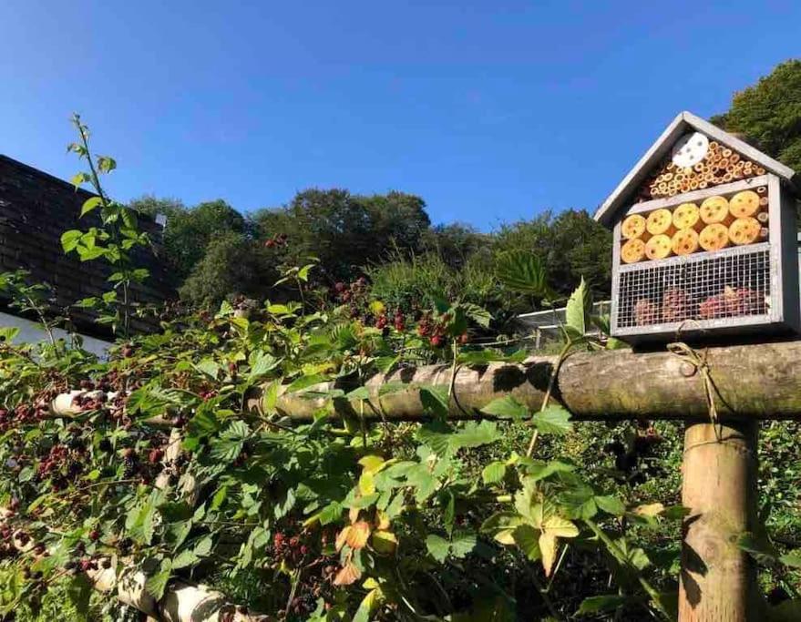 A cosy hideaway on the Jurassic Coast view 5