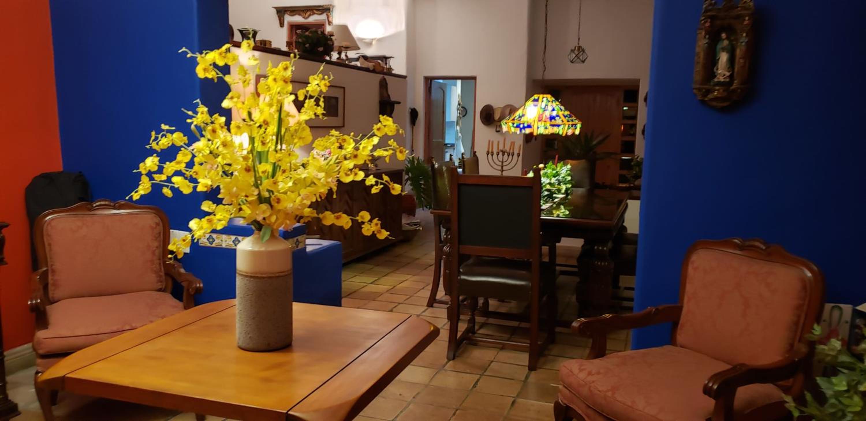San Felipe Lodge. Birding and Wellness
