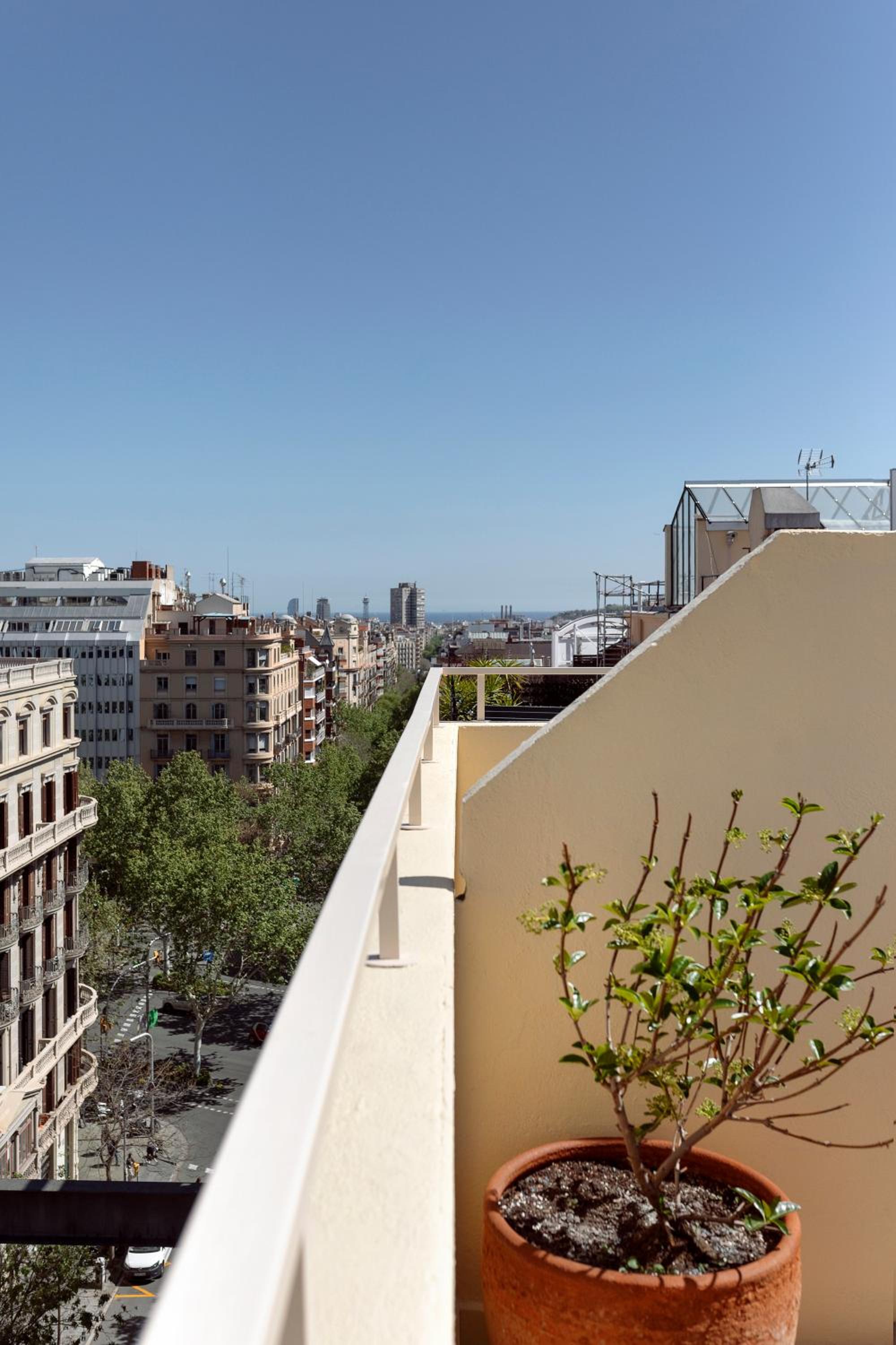 C211 Barcelona - Simaba Group