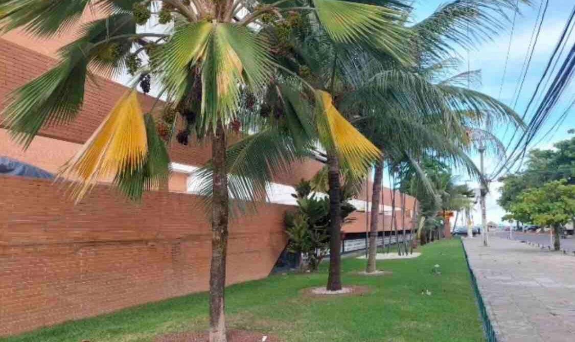 Vista incrível, Mini-mercado, academia, piscina, wi-fi