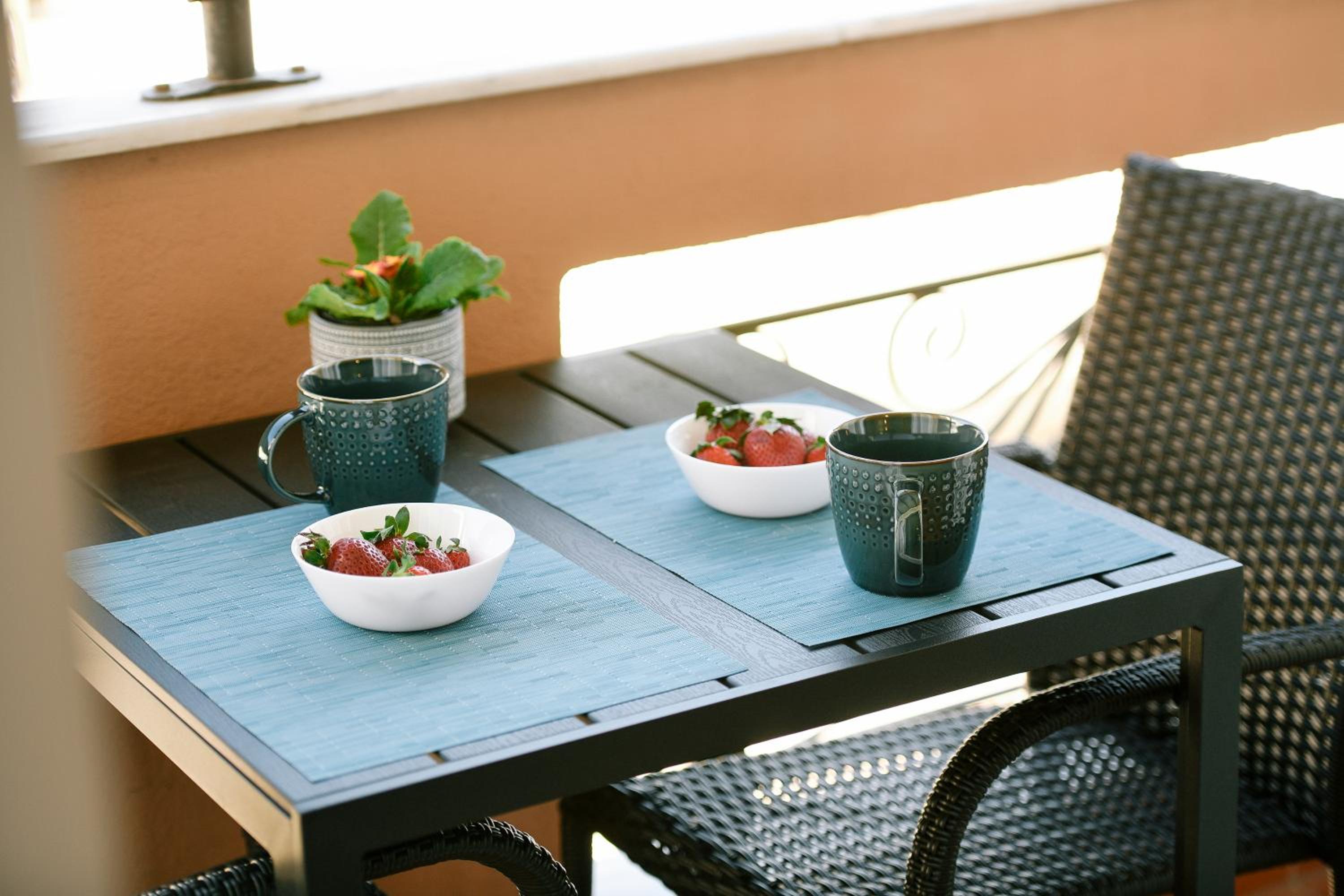 balance & terrace