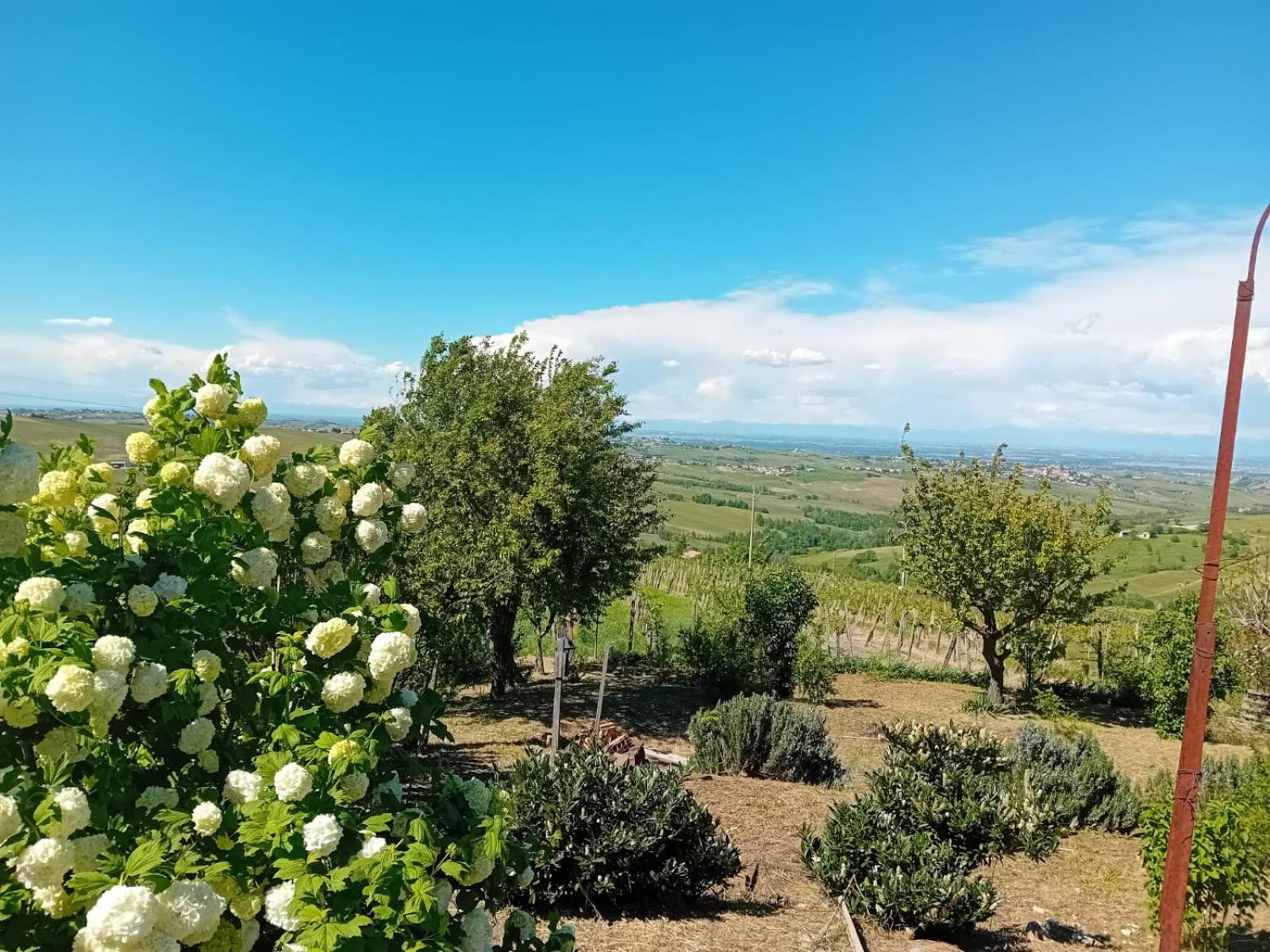 NiFe Tiny House - Secret Garden view 3