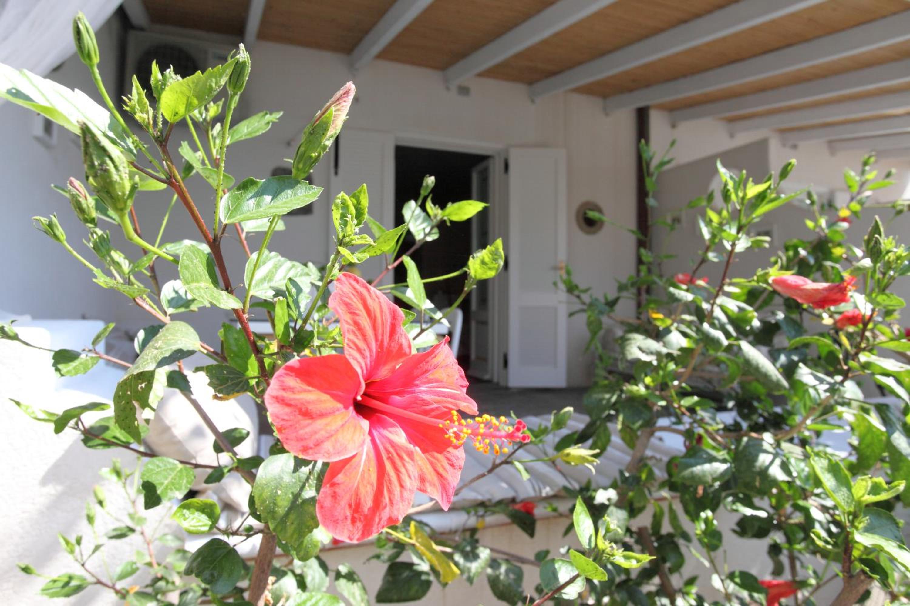 Villa Sea Rose photo 4