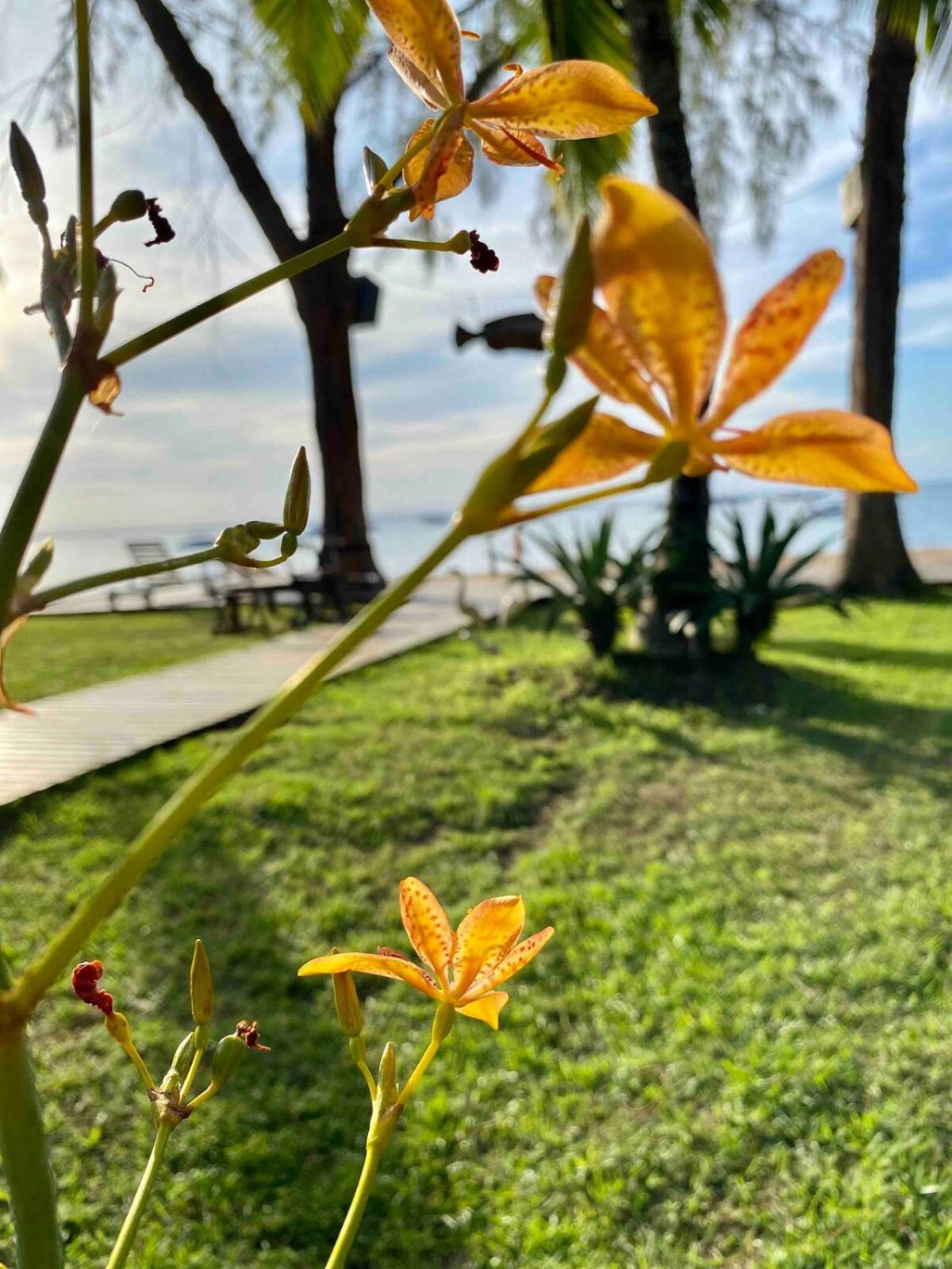 Flat Iansã em condomínio beira-mar com cozinha gourmet na varanda e piscina