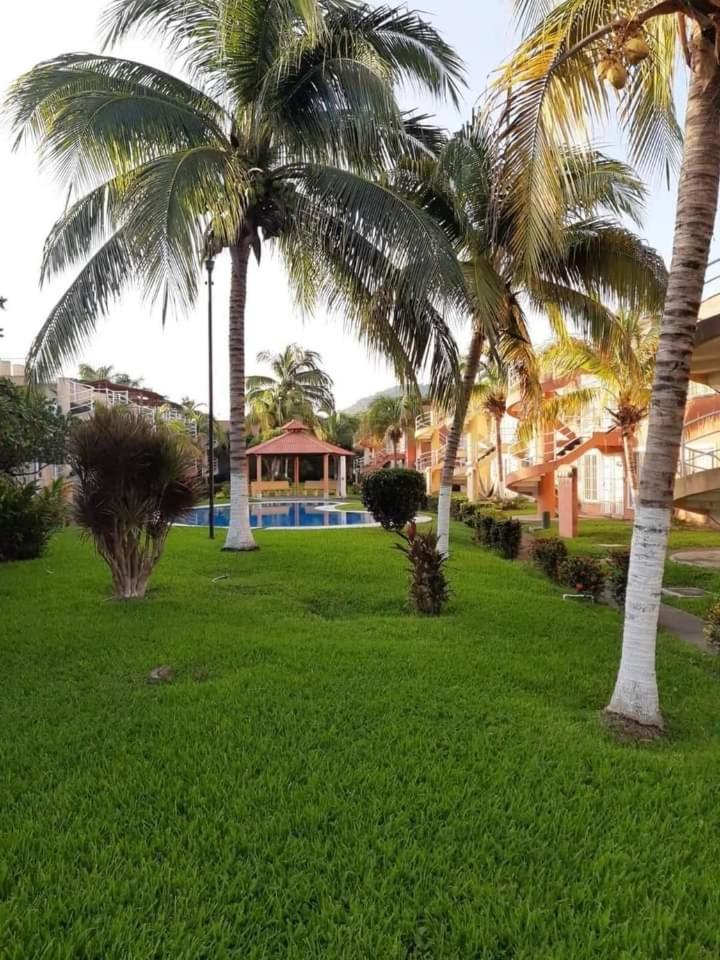 Departamento Nativo view 4