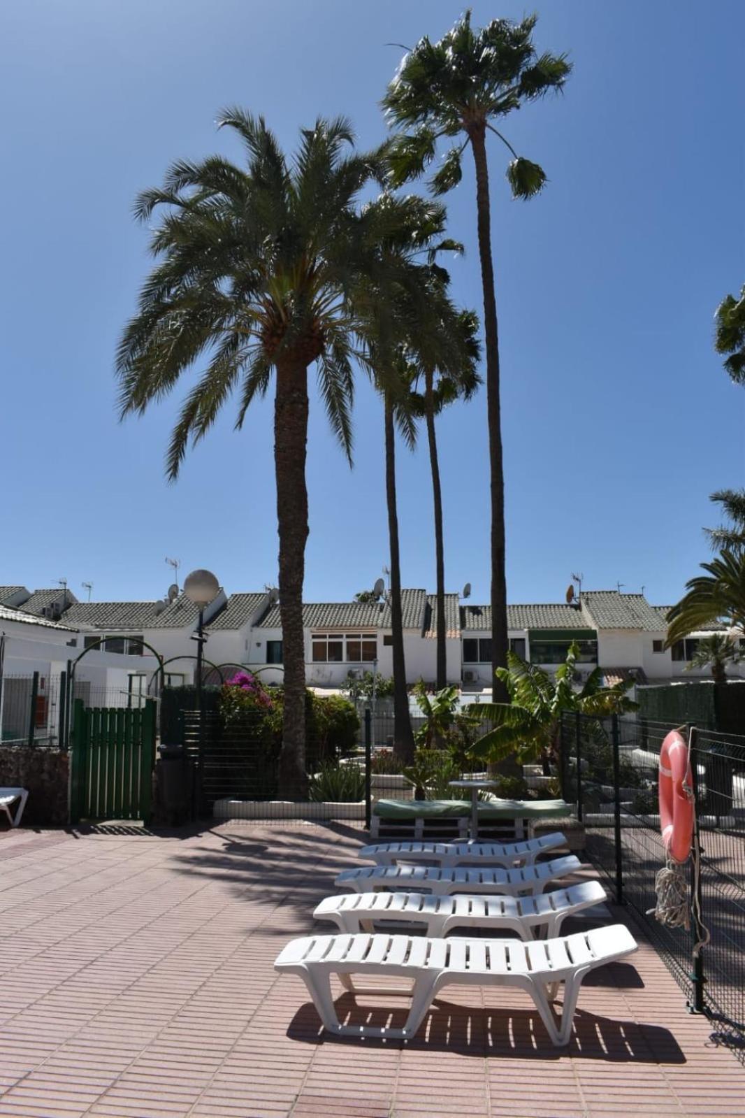 Bungalow Oasis Canaria