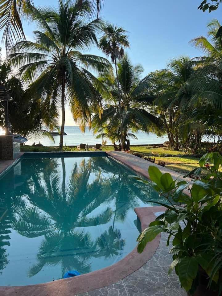 Mermaid Manor Belize