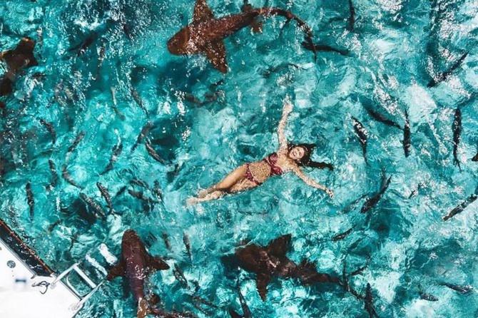 Mermaid Manor Belize