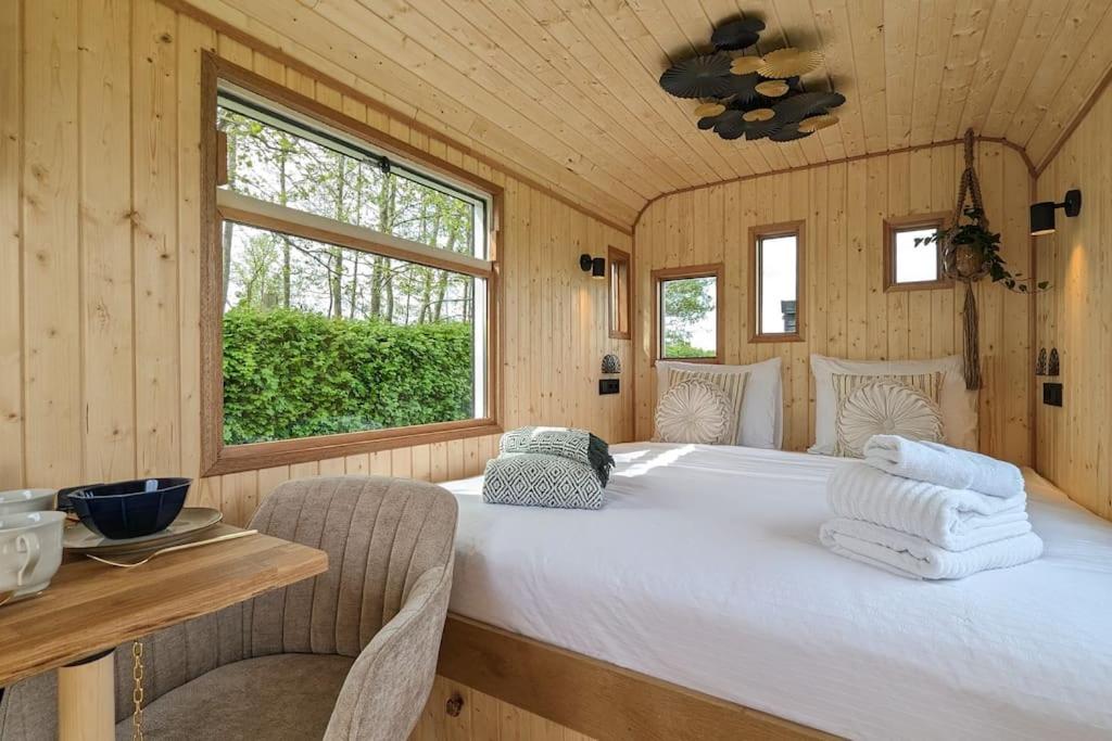 Hotel Crashnstay - Sebastian