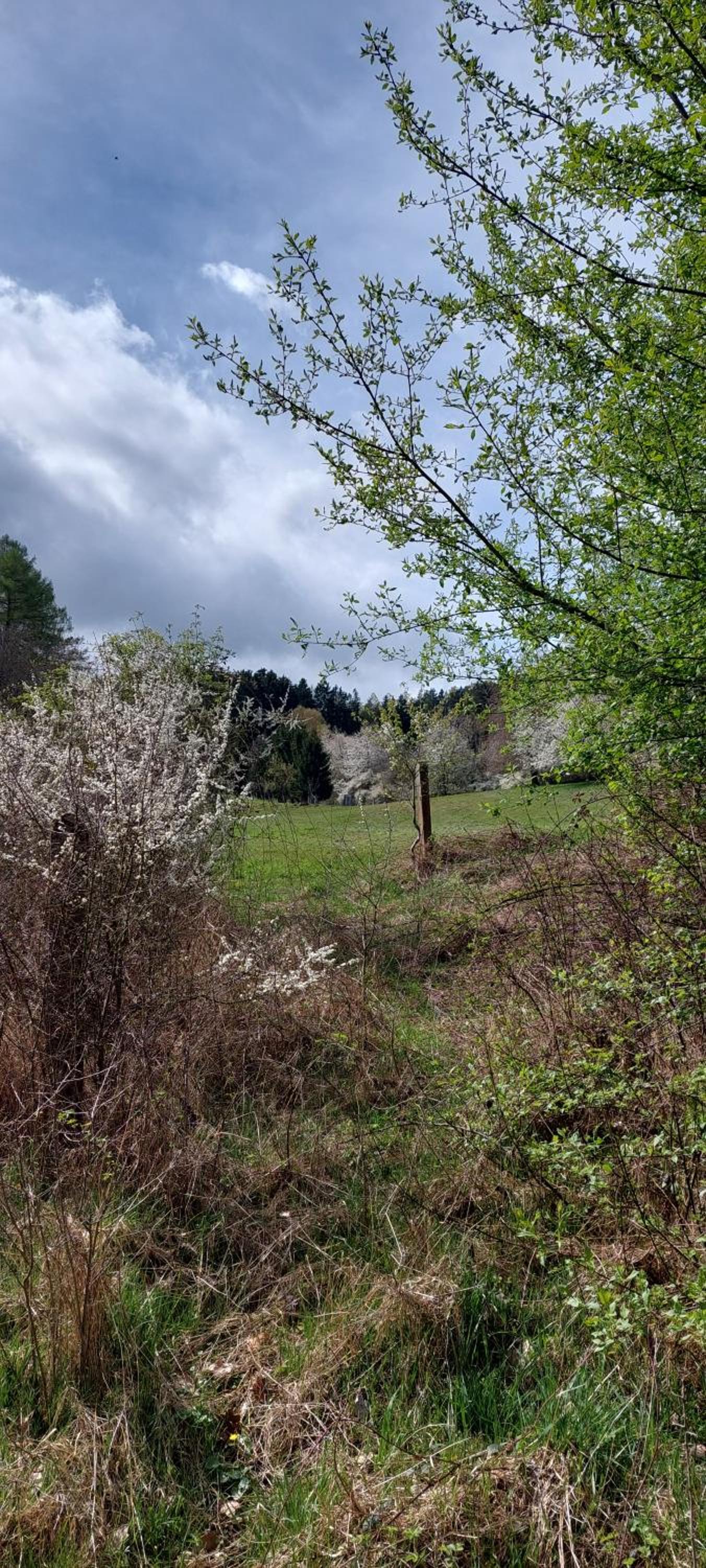Chata na samotě, Šumava