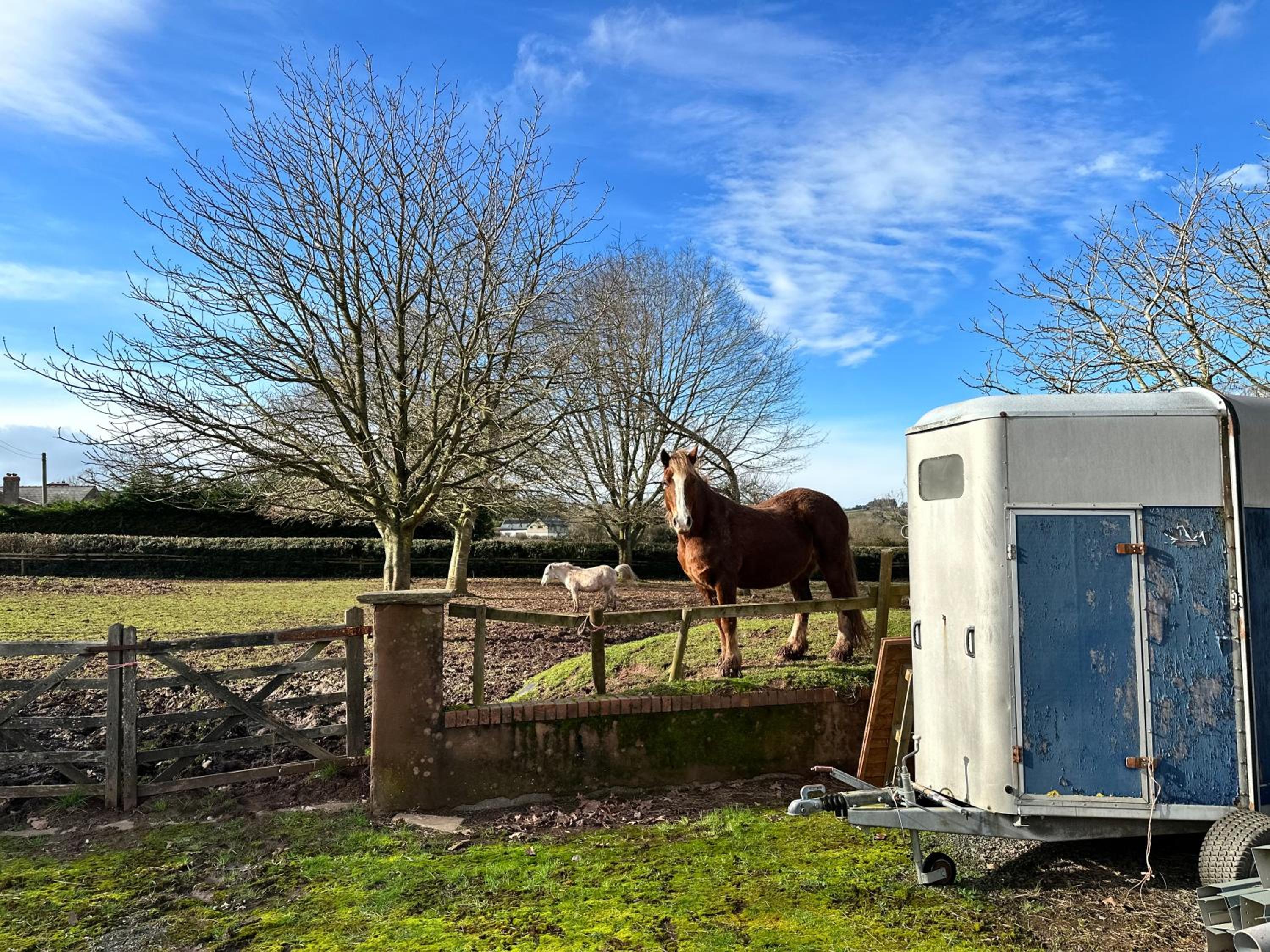 Shepherds Hut