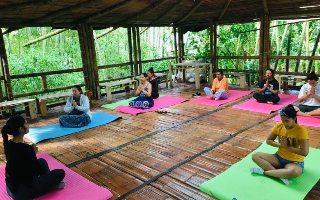 CENTRO HOLISTICO ALLPA SAMAY