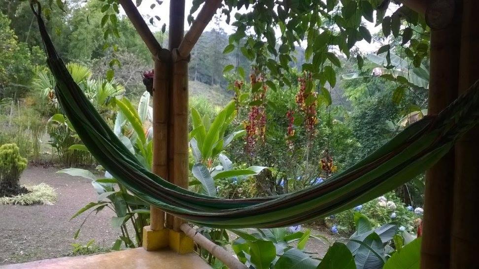 CENTRO HOLISTICO ALLPA SAMAY