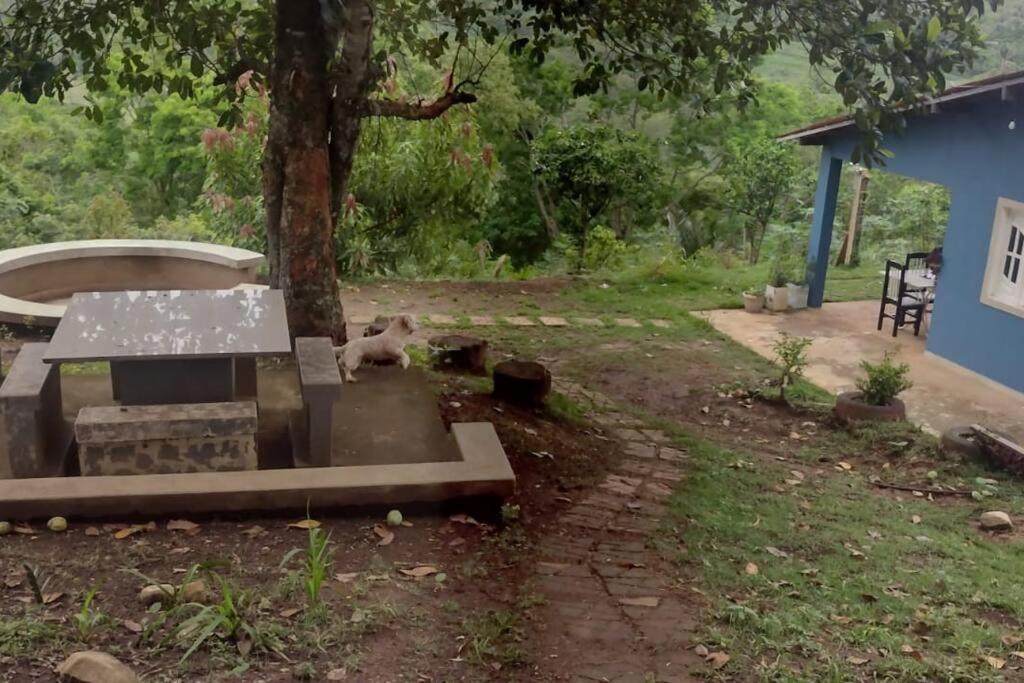 Sitio Recanto da Felicidade
