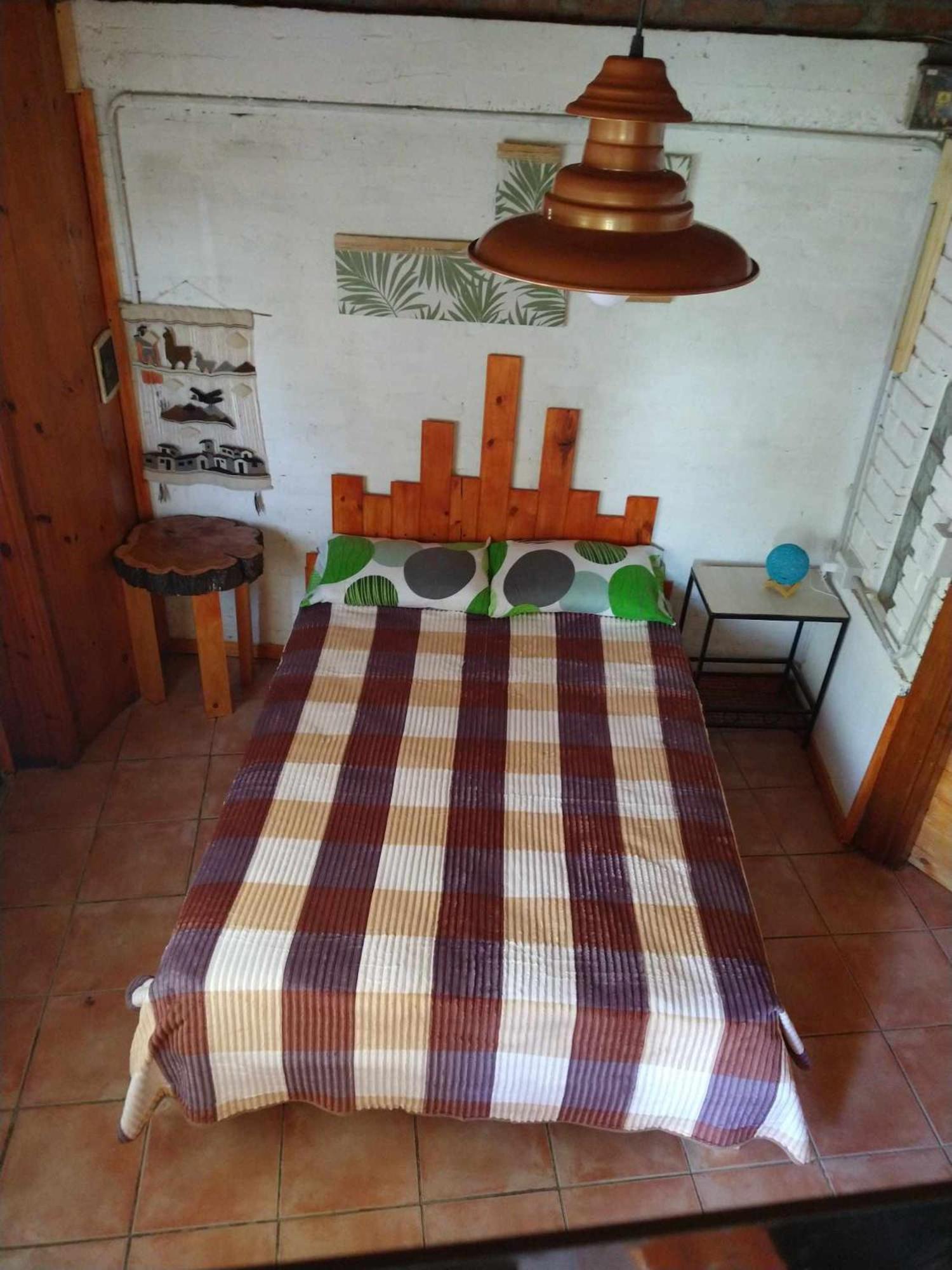 Raíces del Bolsón