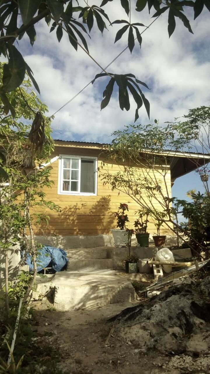 Photo 19
