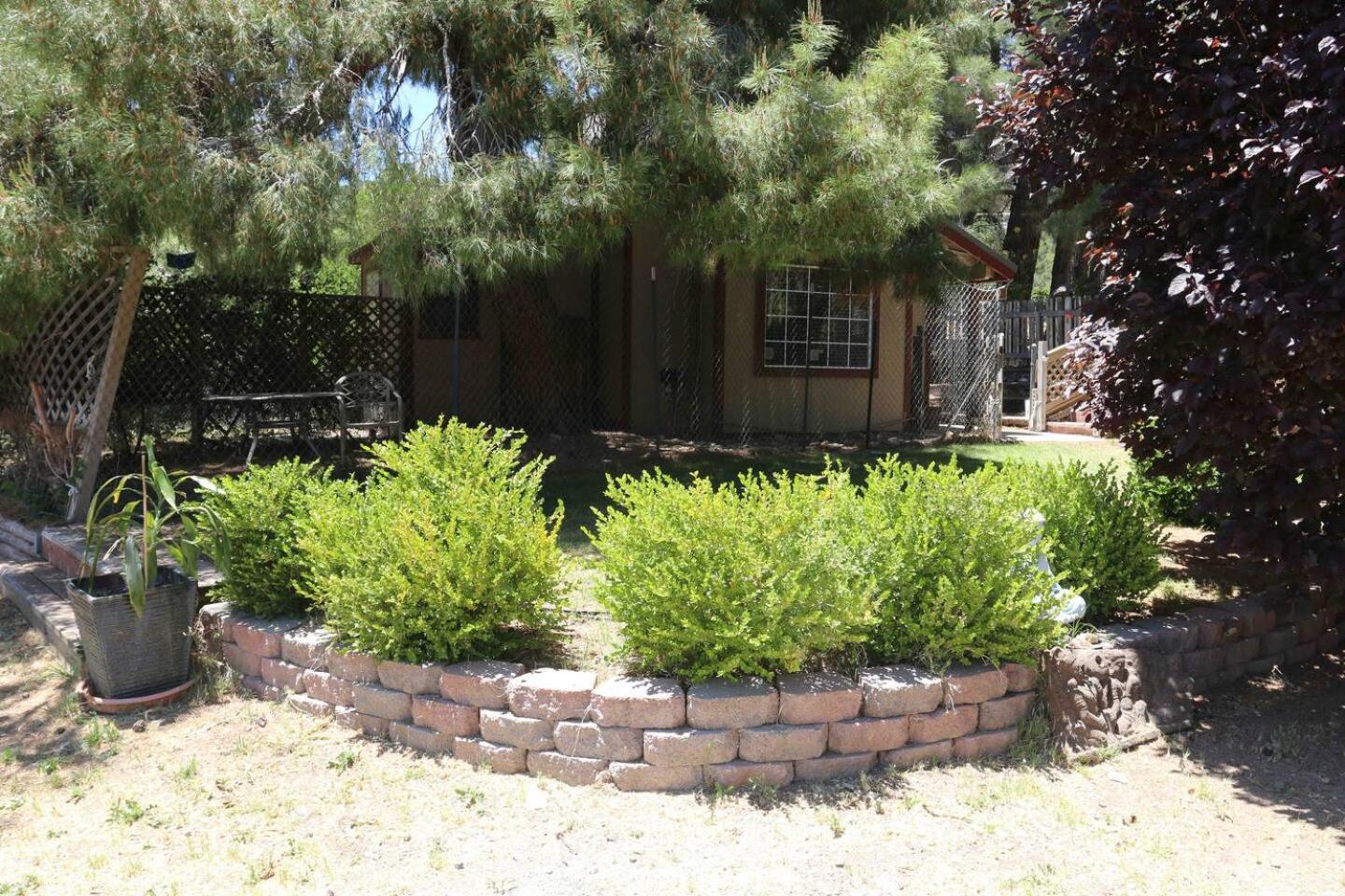 Dragonfly Cottage Pine-Shaded Escape Near Sedona